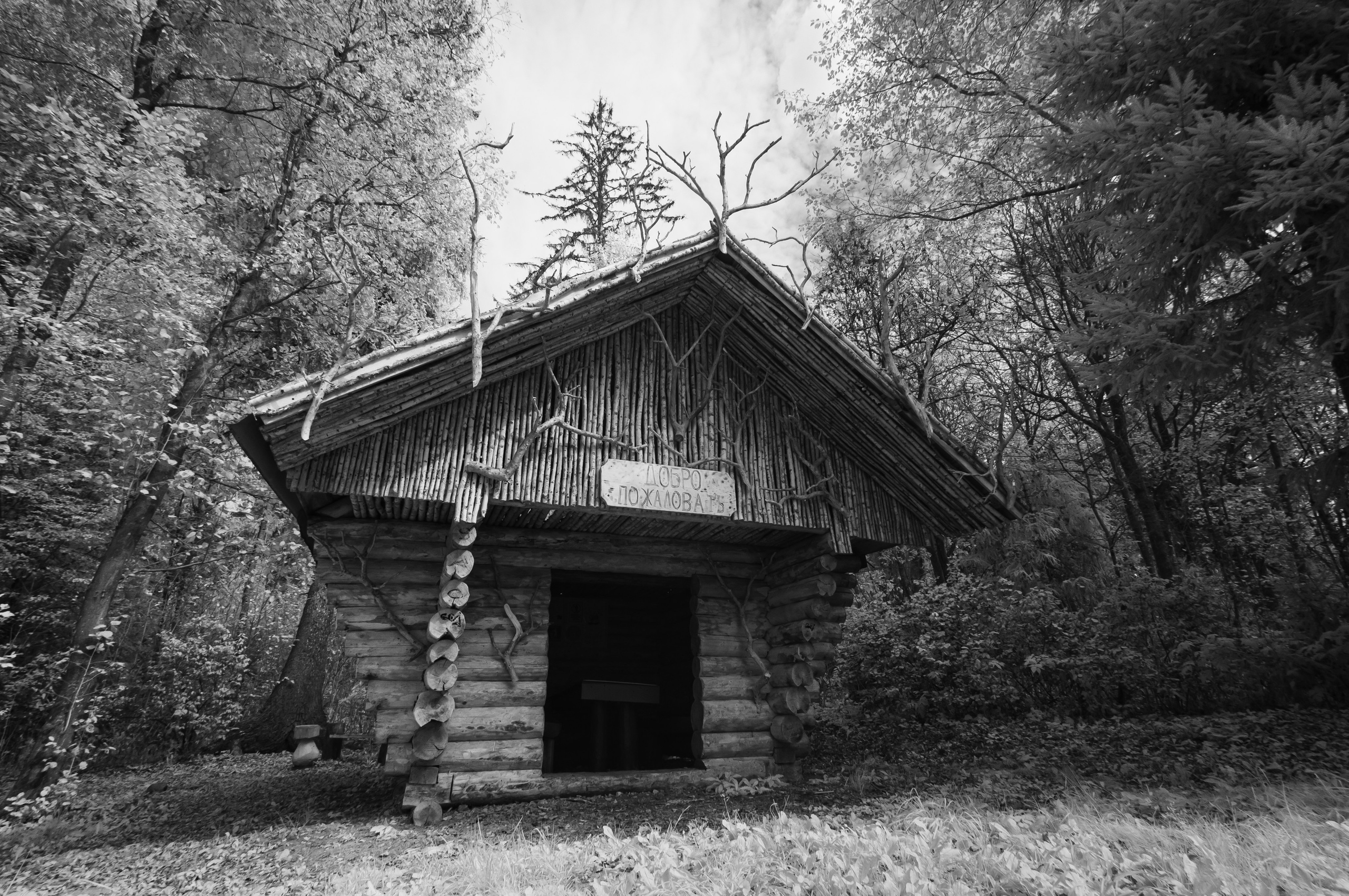 Инфракрасная фотография. Портретный, репортажный и свадебный фотограф в Екатеринбурге Денис Южаков