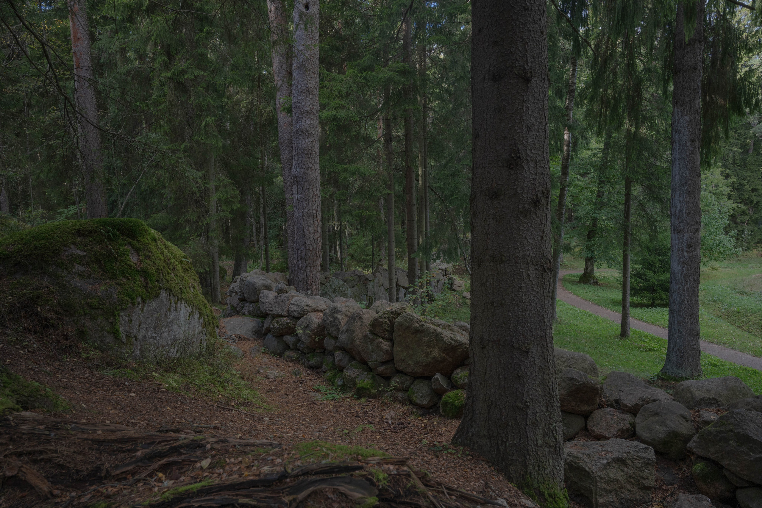 Monrepos. Shyjungle's Portfolio