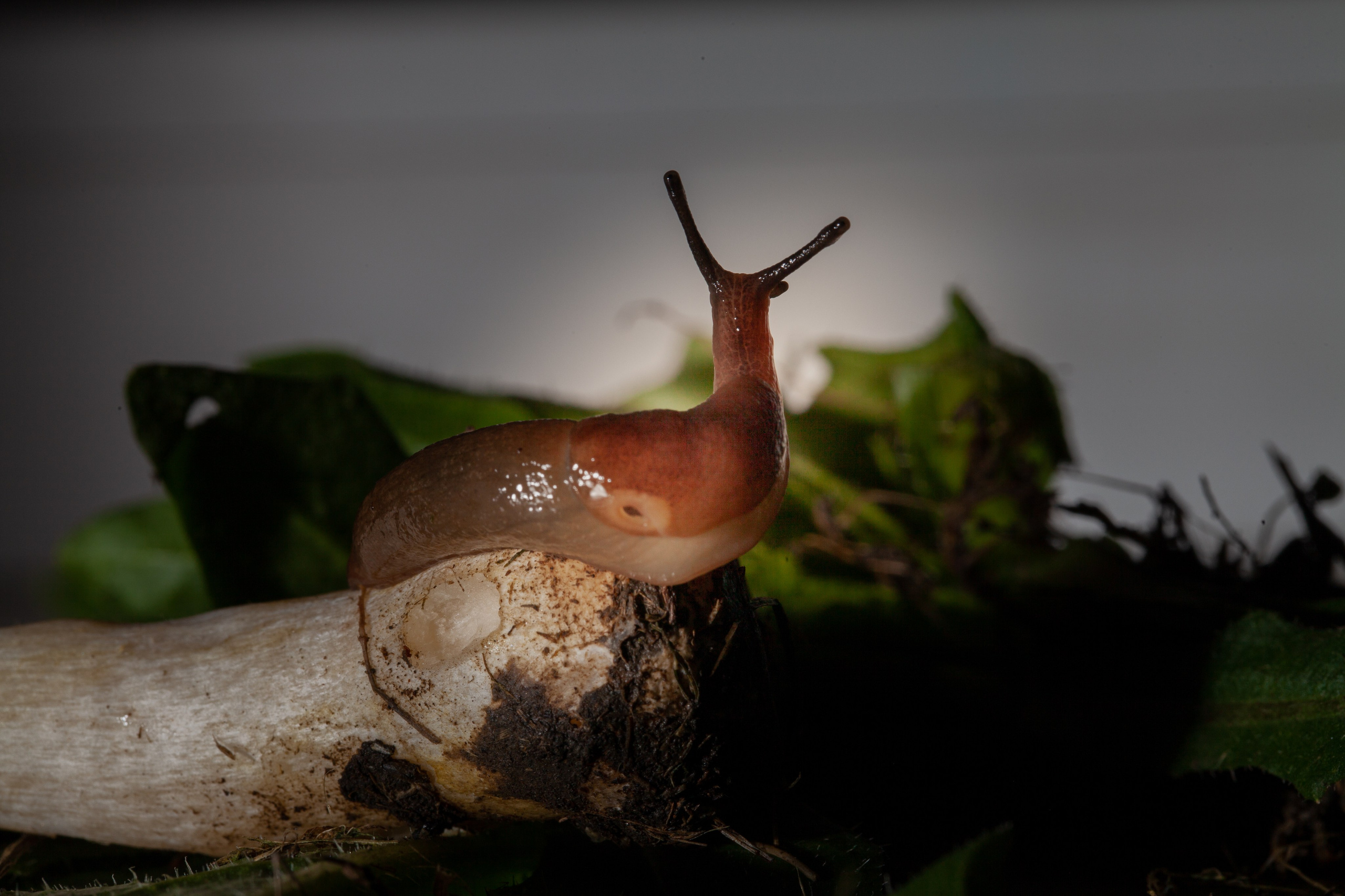 Красота вокруг нас. Медиапродюсер, фотограф в Минеральных Водах —Виктор Холодов