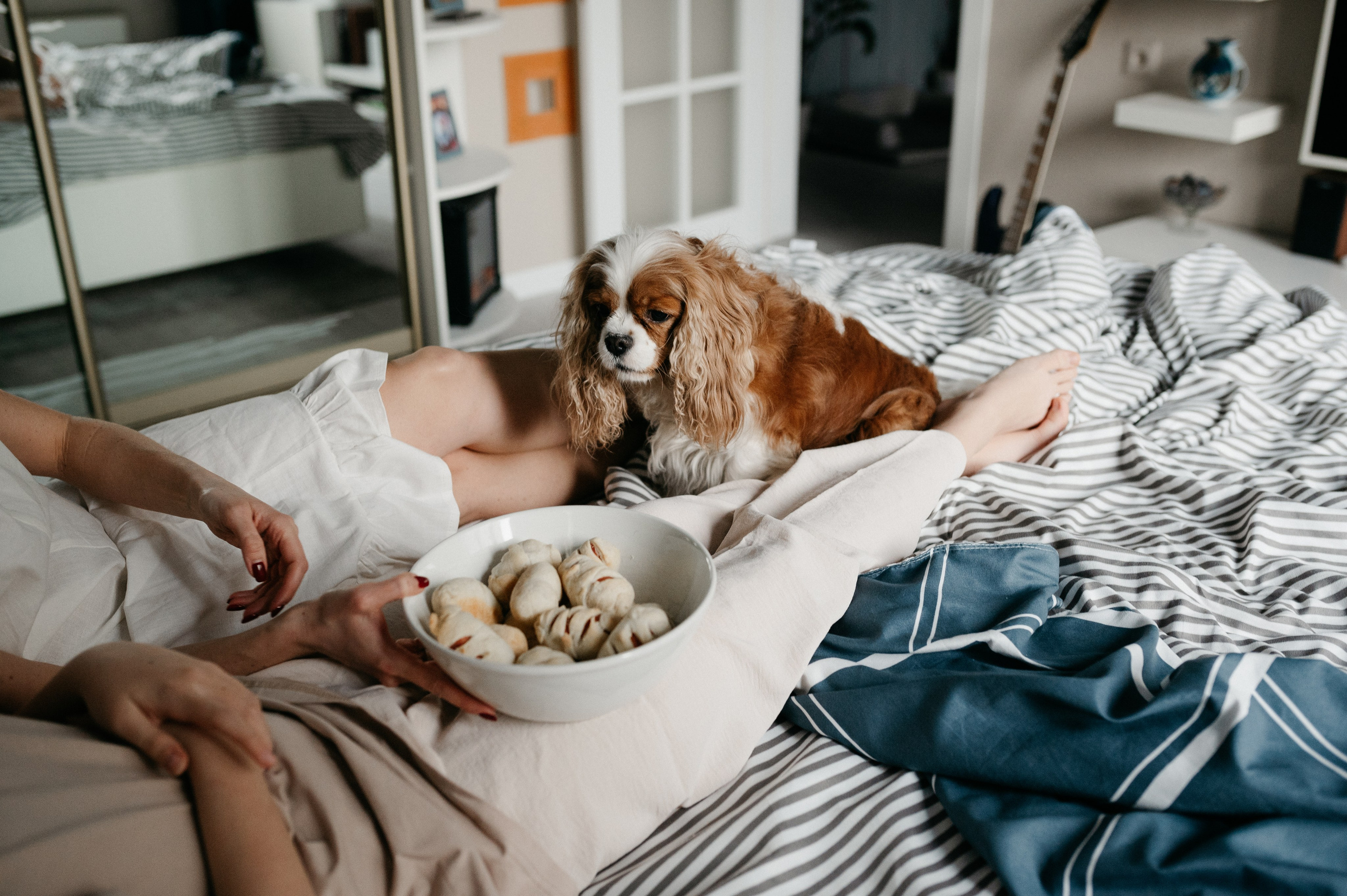 Даша, Диана, Дебби и маленькая крыска. Фотограф анималист в Москве Ольга Агушева