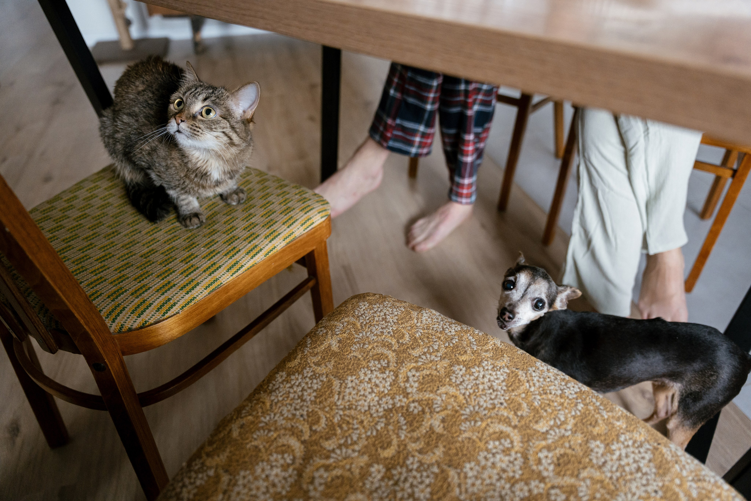 Витя и Аня. Фотограф Томск, Новосибирск Влад Свириденко