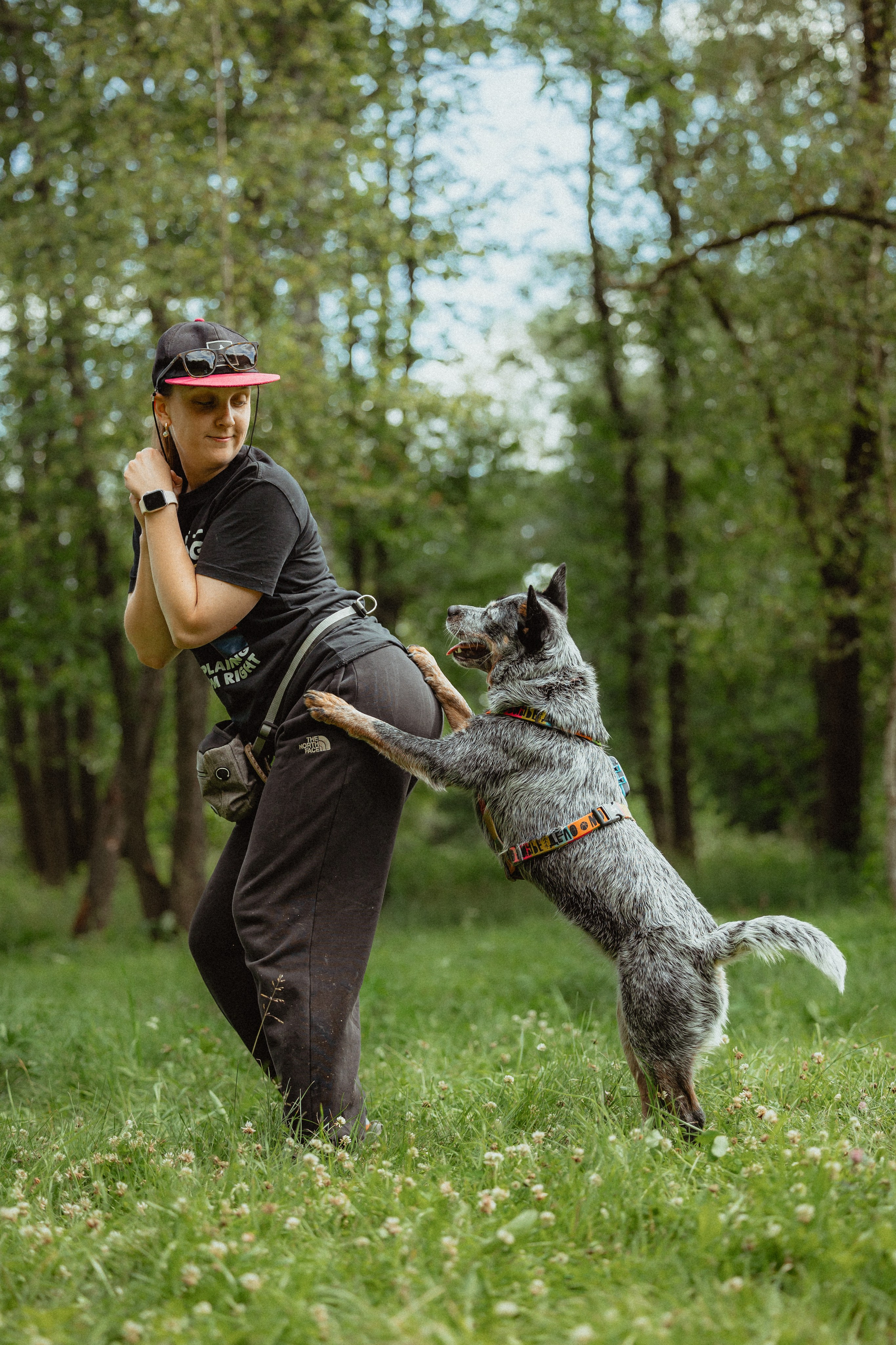 Выездной дог-тренинг от школы «Шерсть имею»