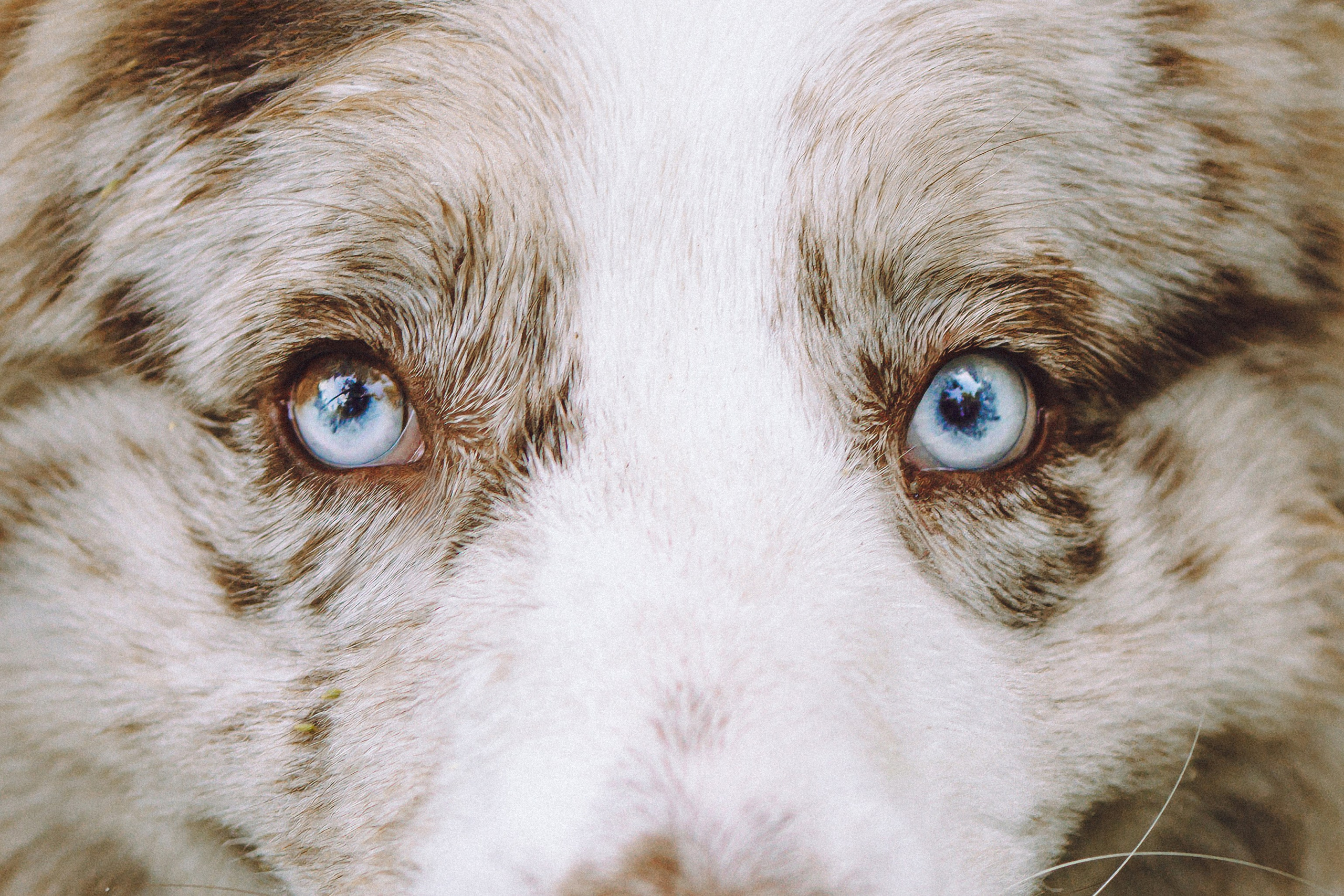 Катя, Андрей, Гектор, Ричи, Тортик и Трой