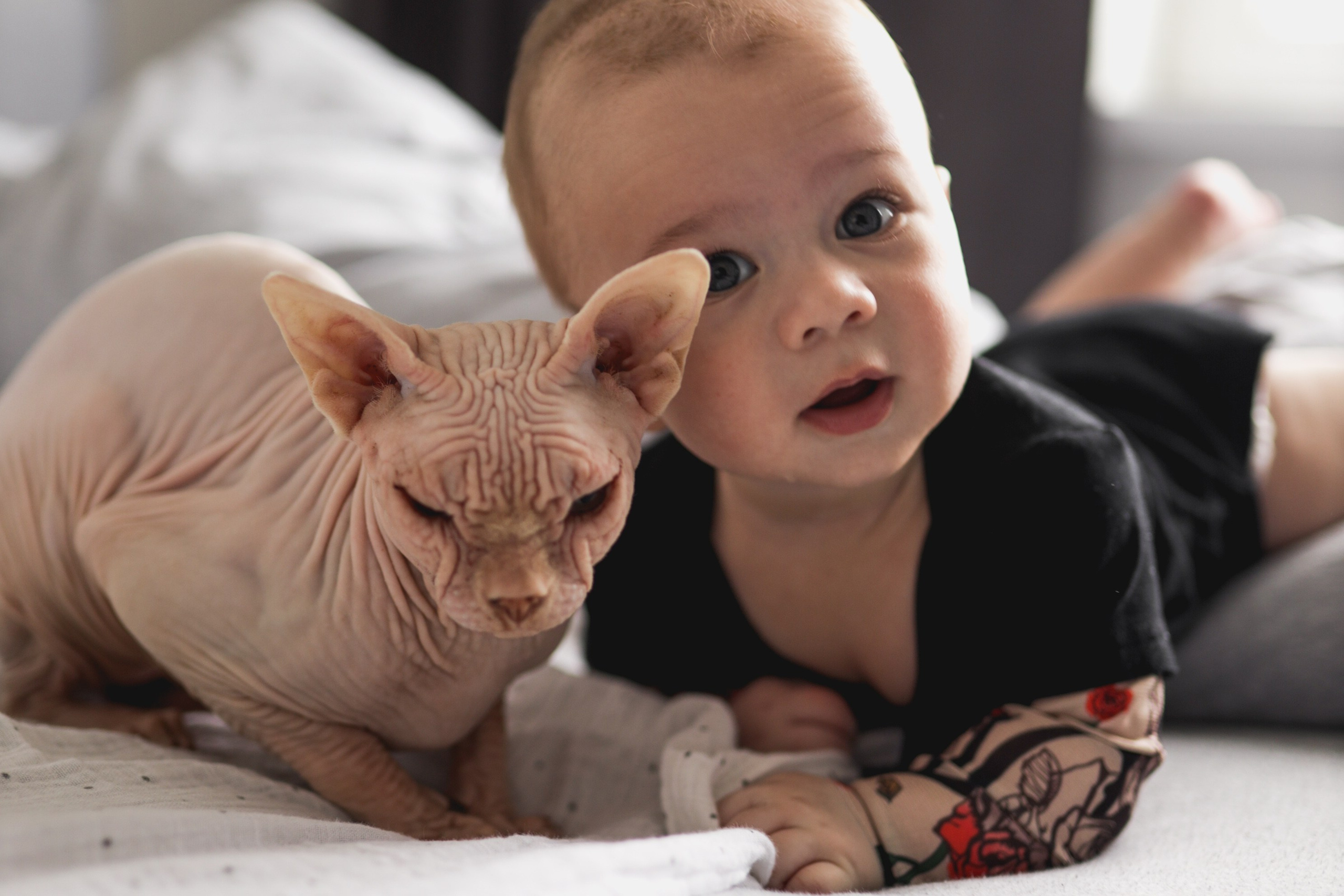 Детские портреты. Фотограф Александра Божко