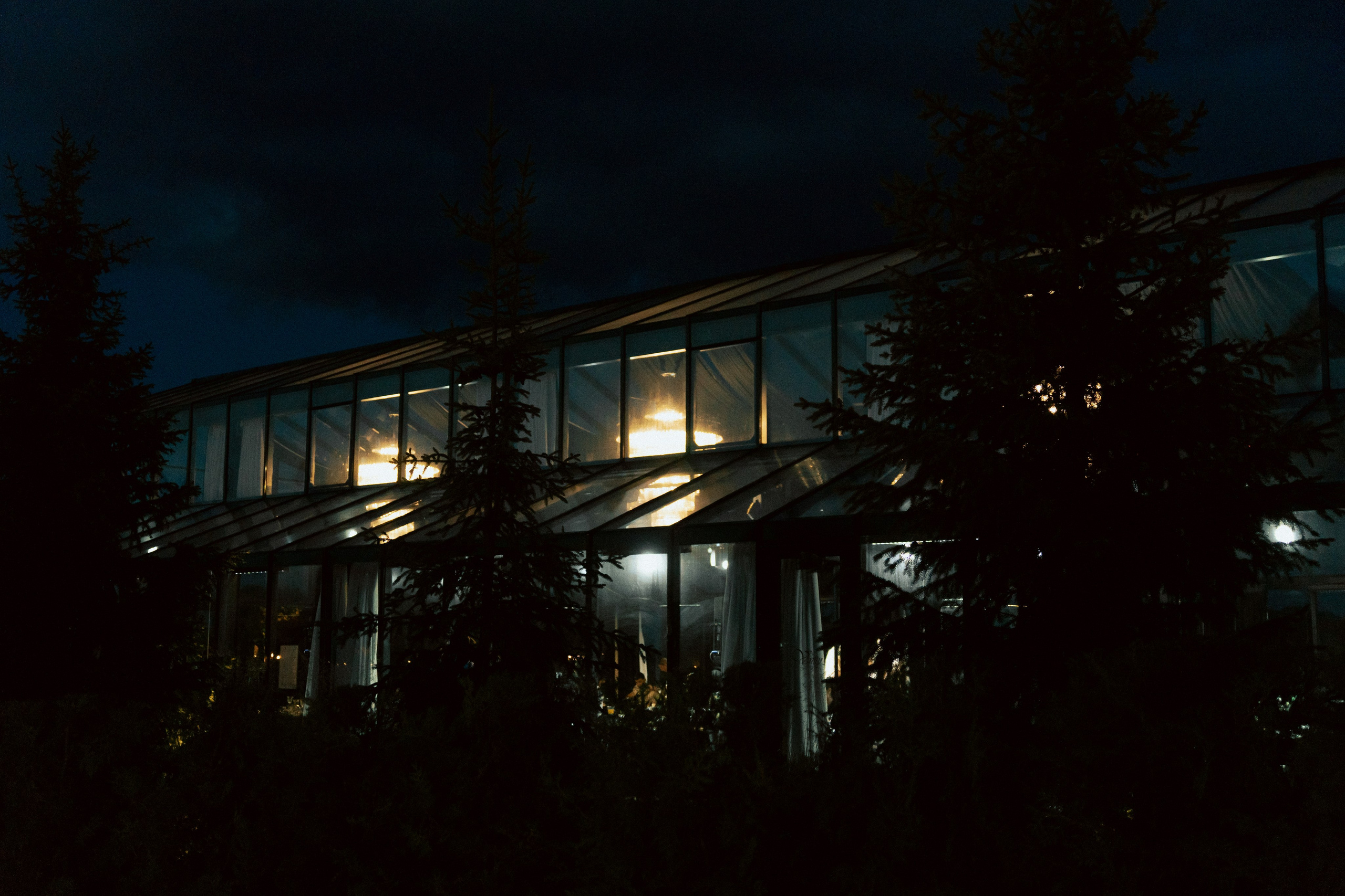 Аня и Никита. Свадебный фотограф в Петербурге Перечнева Таша (Таша Вайб)