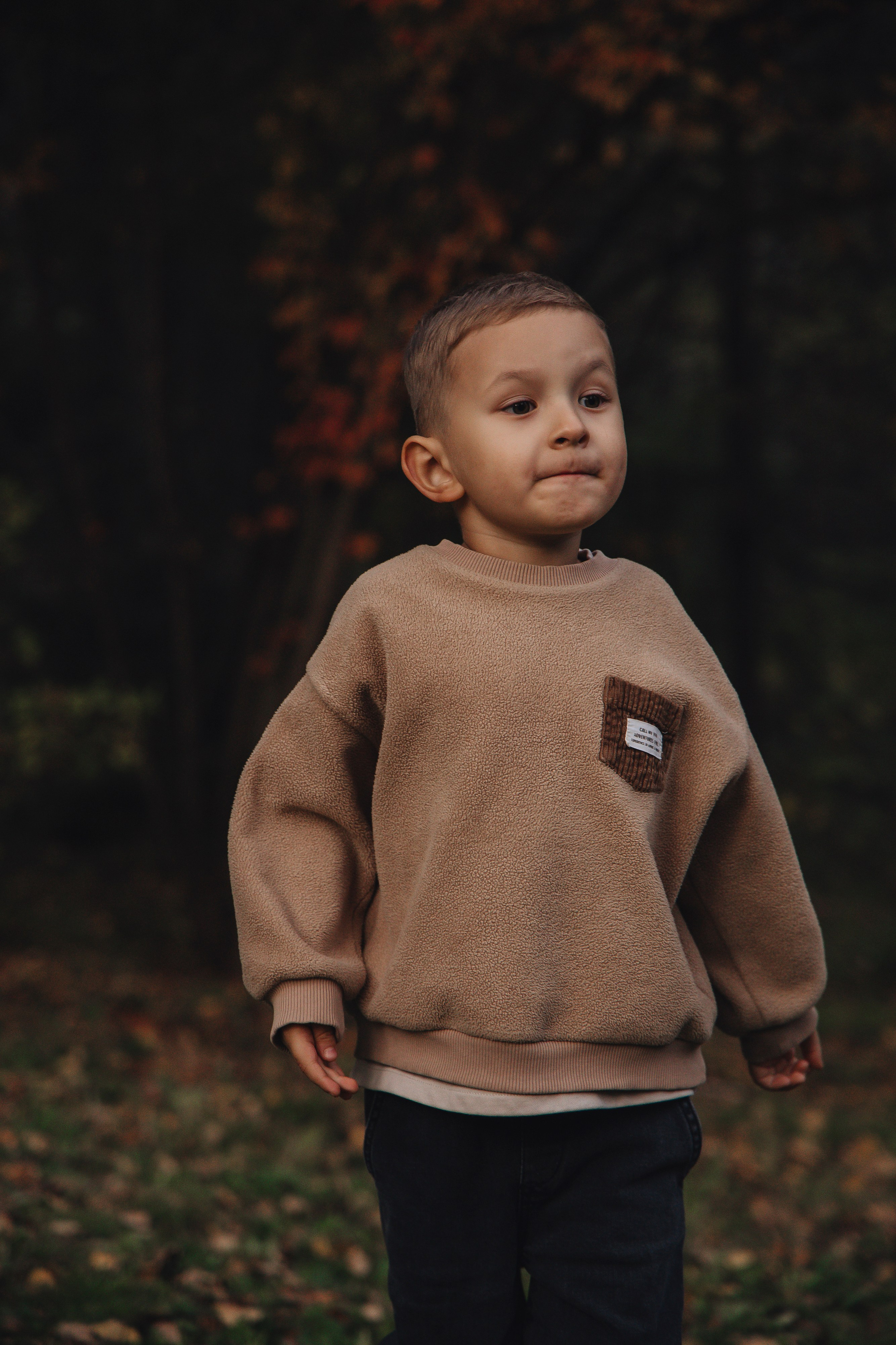 Осенняя прогулка. Фотограф Новосибирск