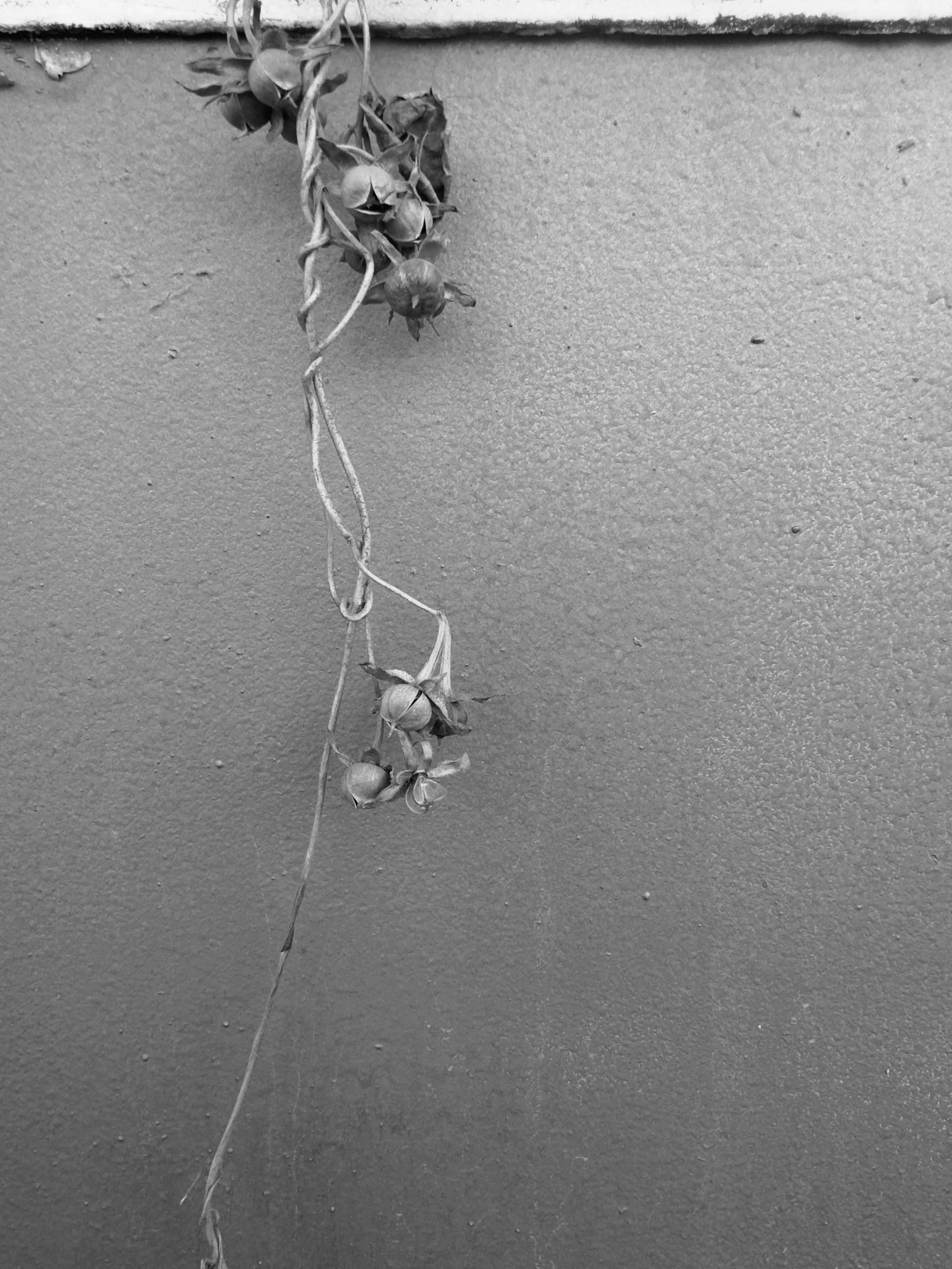 Визуальный дневник. Репортажный фотограф в Алматы Цой Сергей