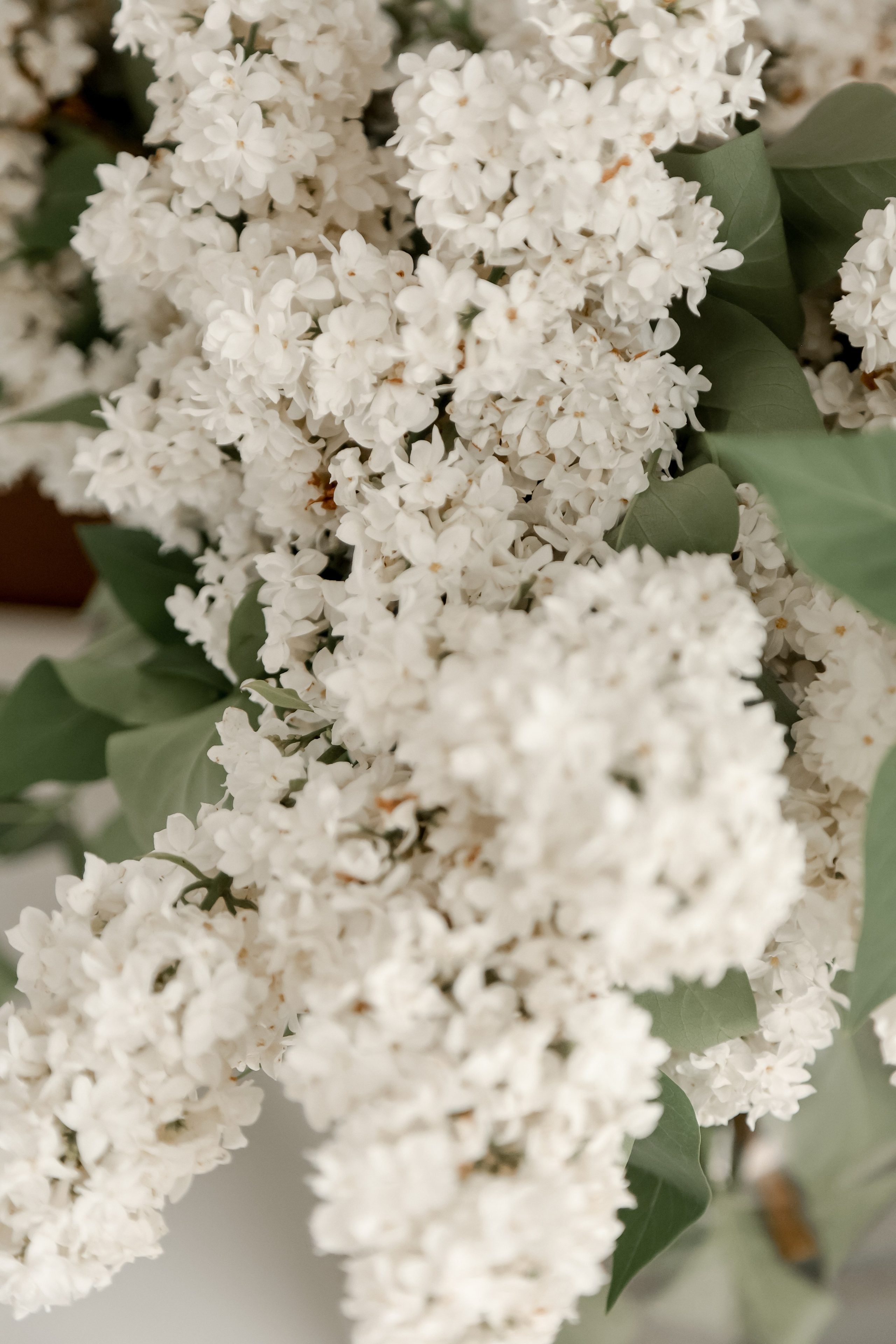 Нити Времени. Свадебный фотограф Ольга Веремчук