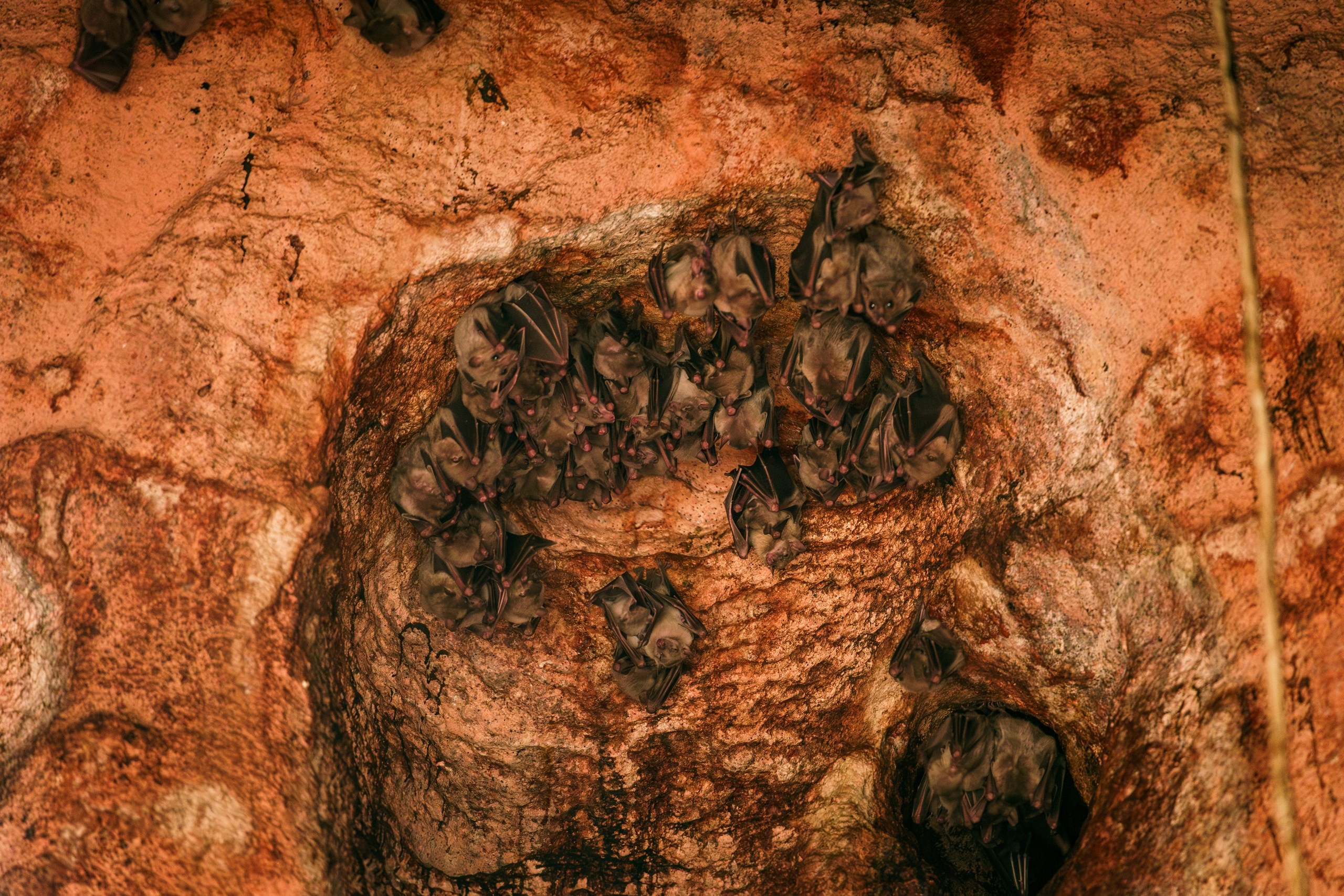 фототуры 2026