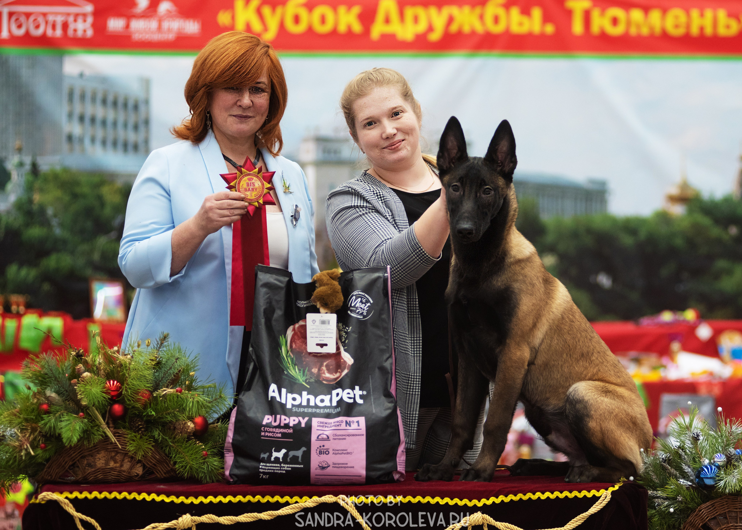 Выставка собак тюмень 10.12.2022. Дог-фотограф в Тюмени Александра Королева