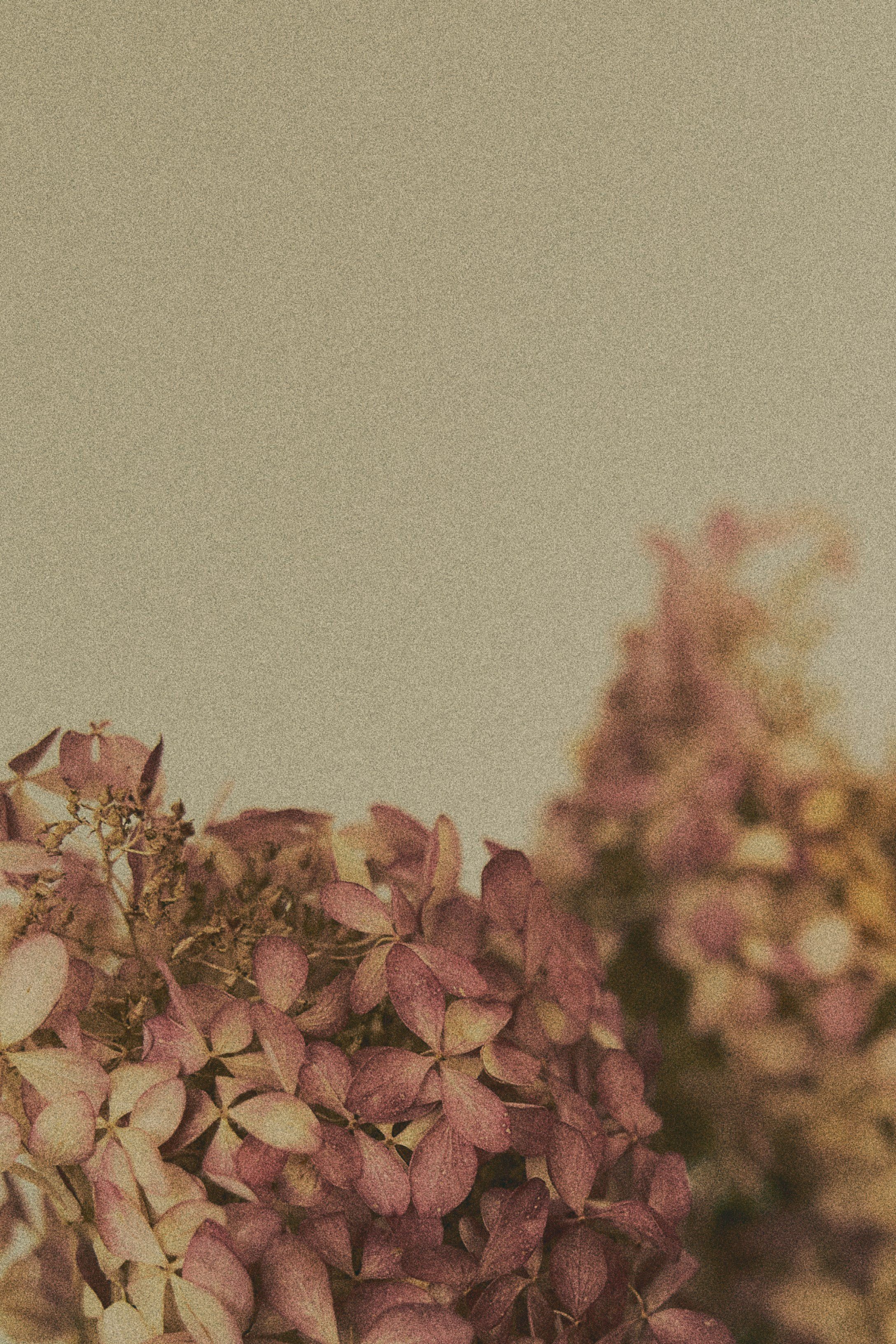 Серёжа и Регина. Фотограф Екатерина Строганова