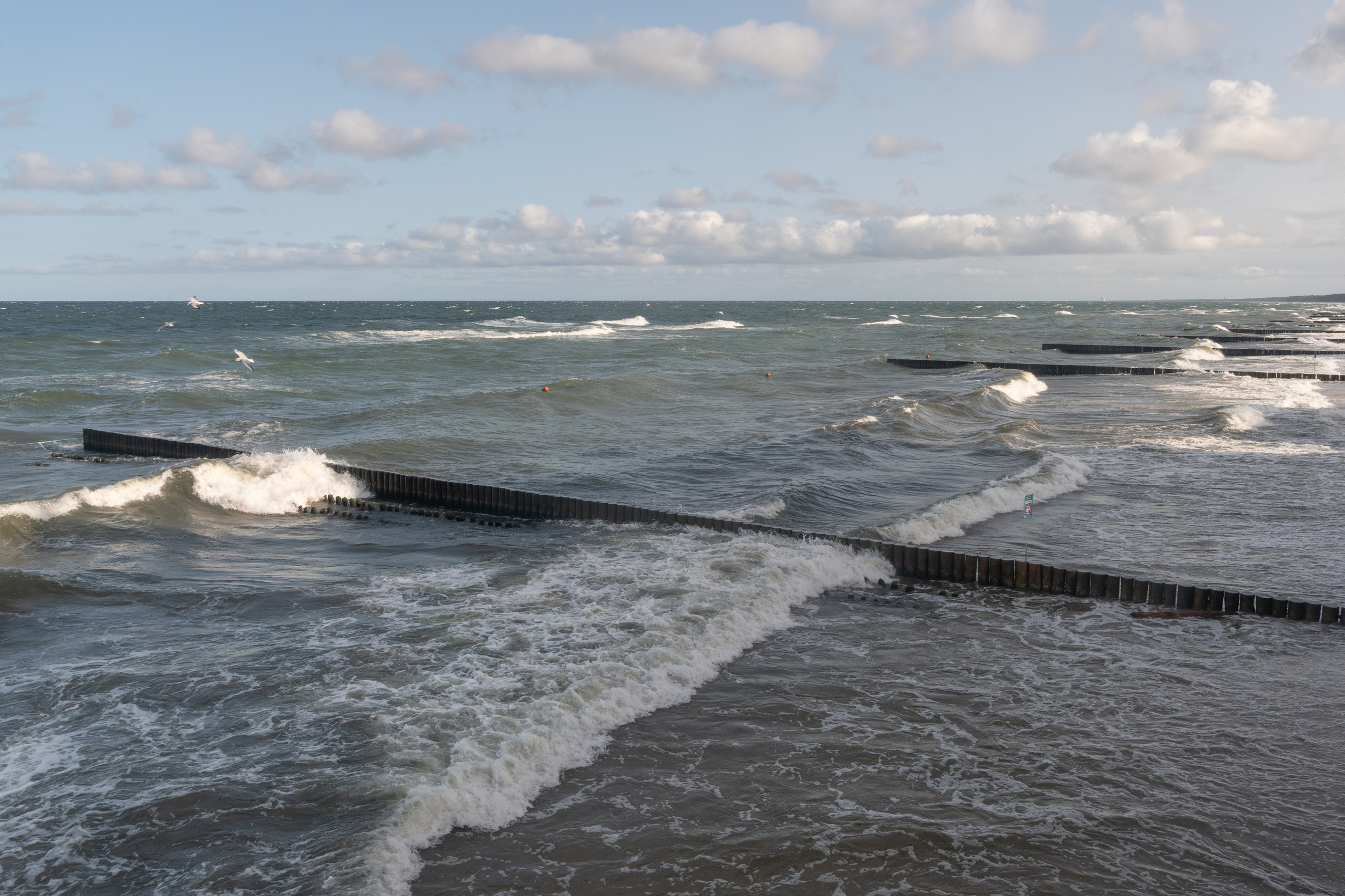 Калининградская область. Gusarov Travel Photography