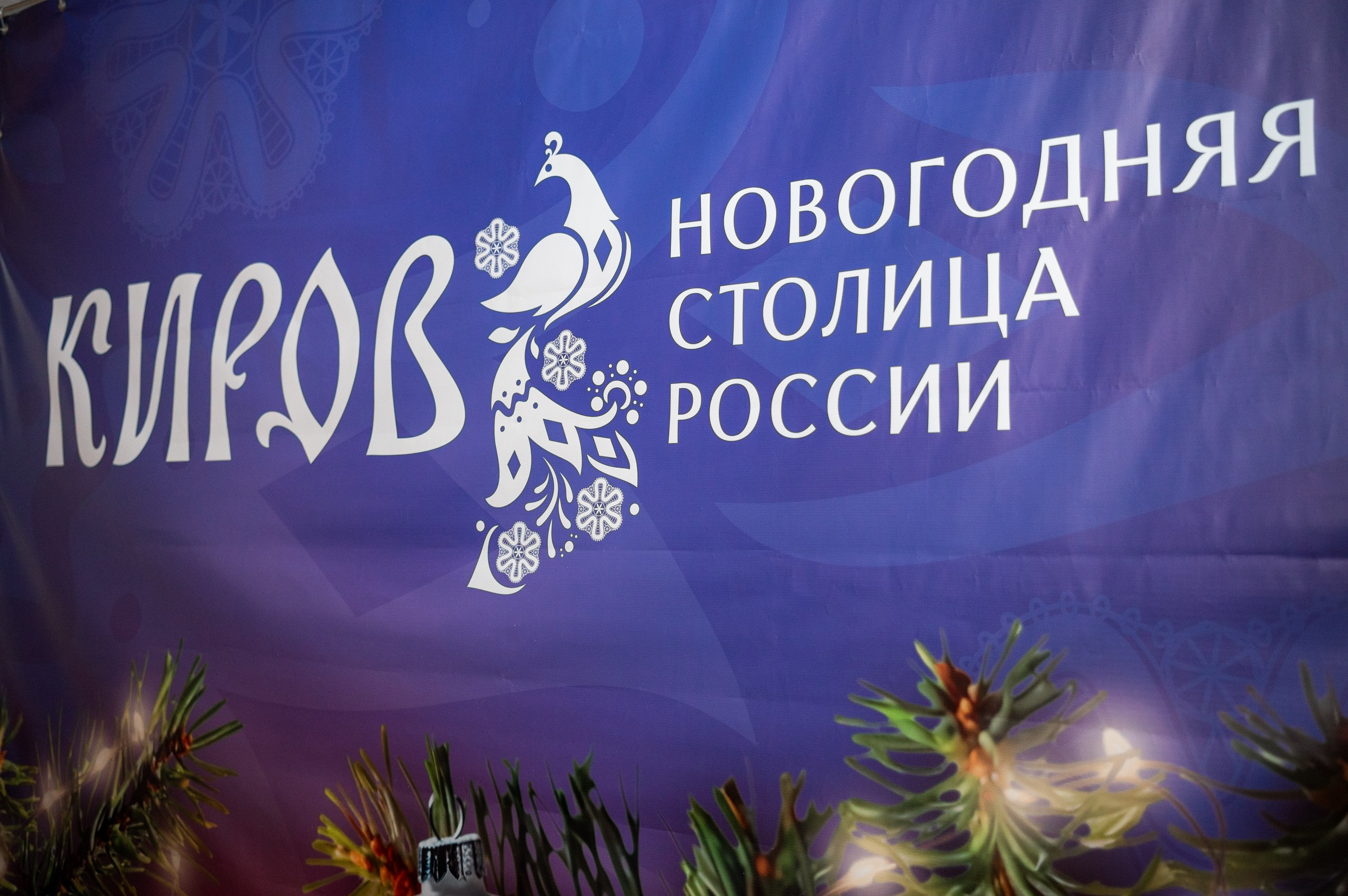 Новогодние волонтеры | Открытие Новогодней столицы Кирова 2025. Репортажный фотограф в Кирове Александр Лутошкин