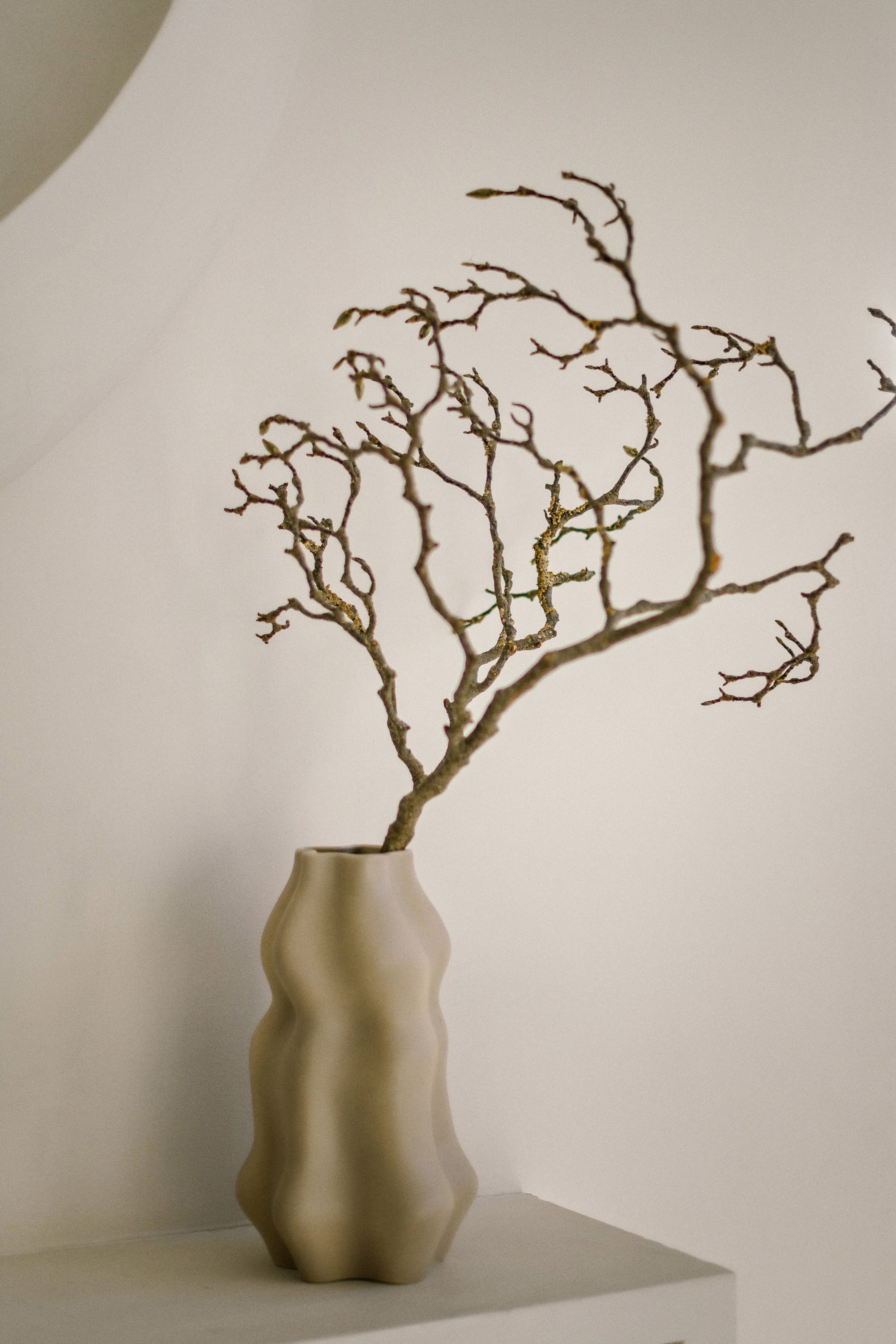 Коуч. Свадебный фотограф в Санкт-Петербурге София Шубик