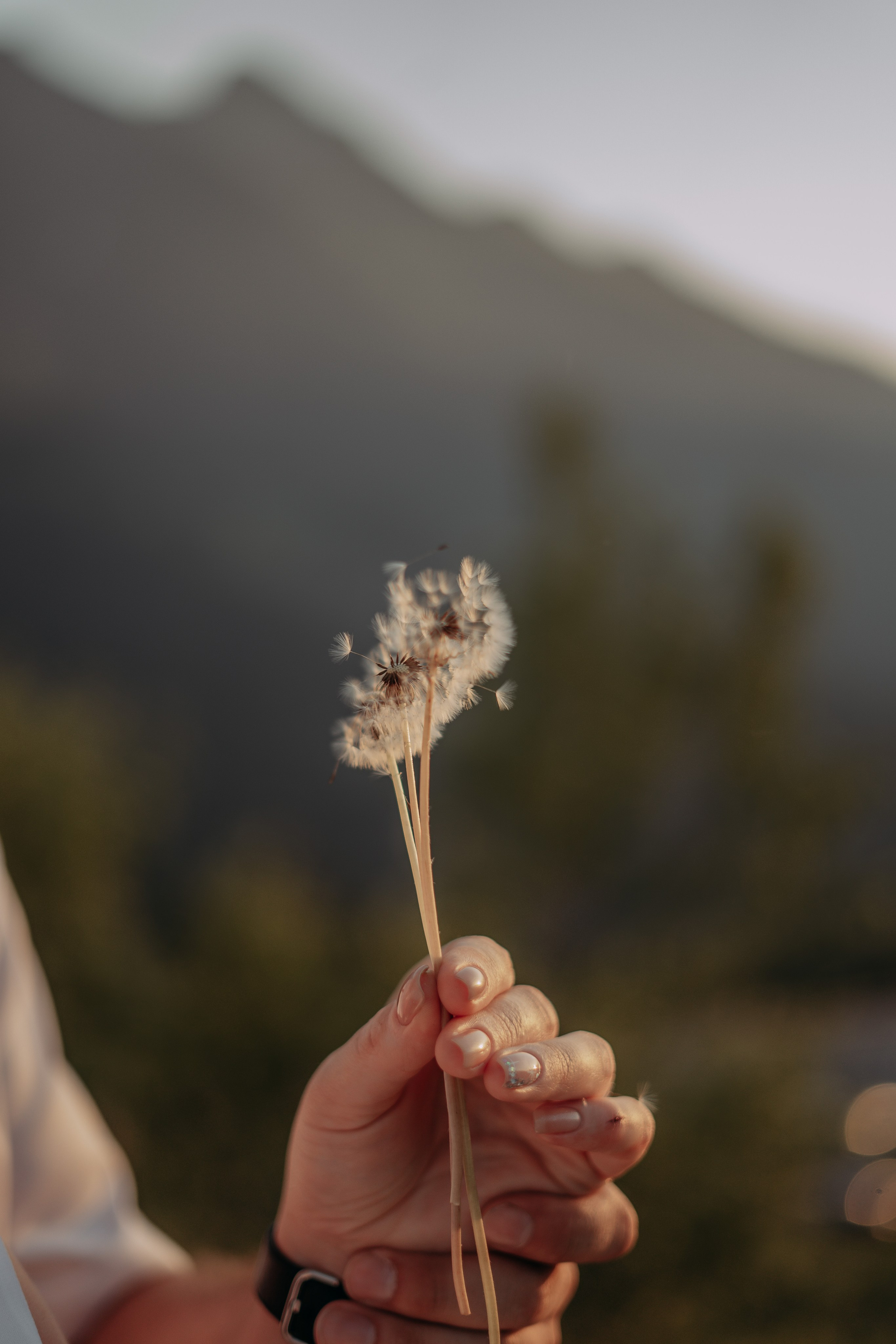 Сбежать в горы. Фотограф Крым, Севастополь