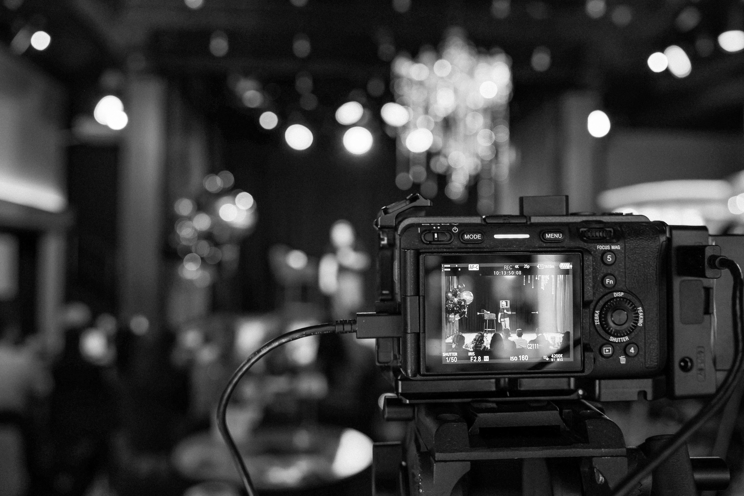 Бизнес — Стендап. Фотограф Юлия Мальцева