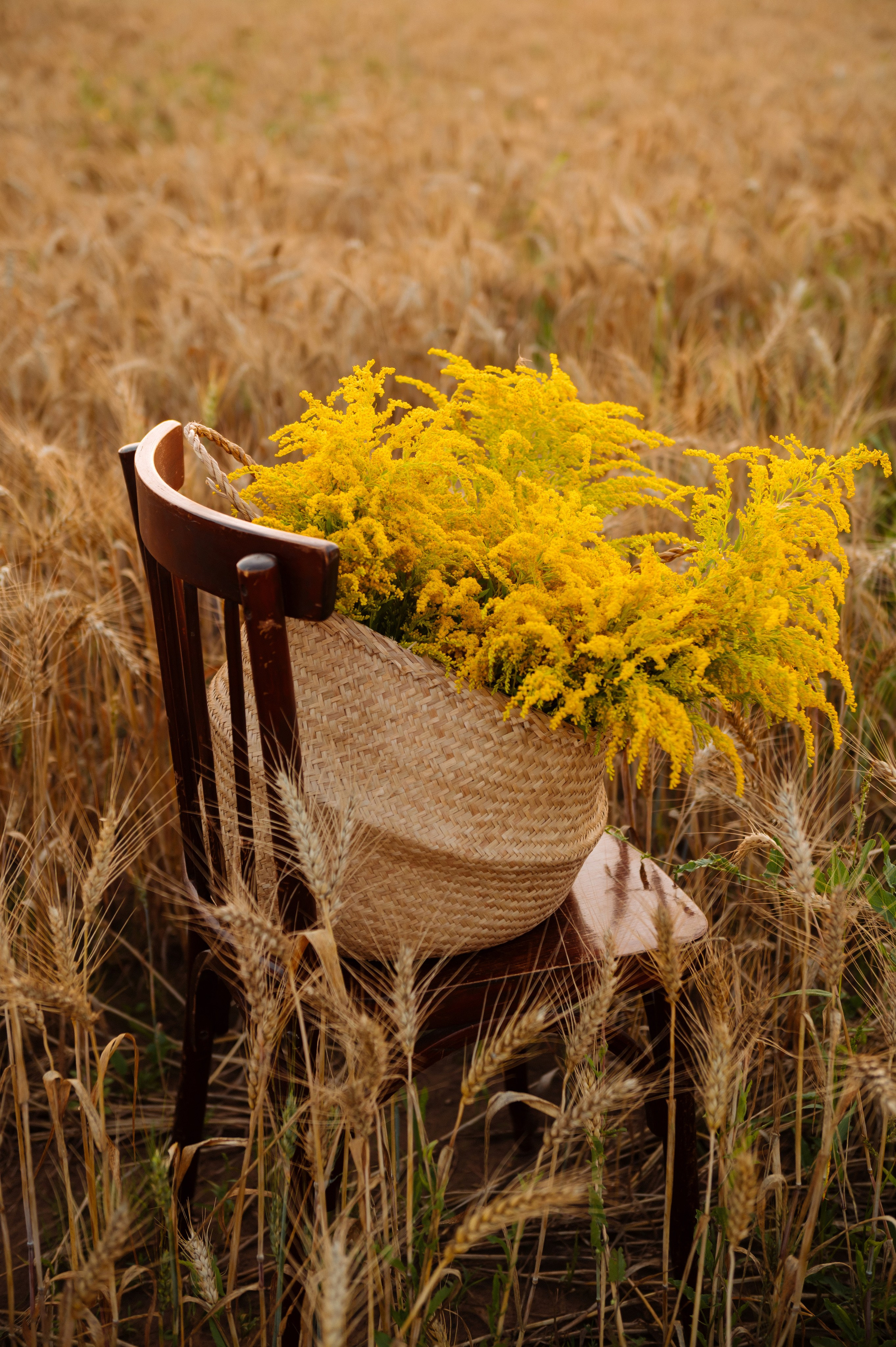 Копкины. Свадебный, портретный, фотограф беременности в Нижнем Новгороде Алина Зиновьева