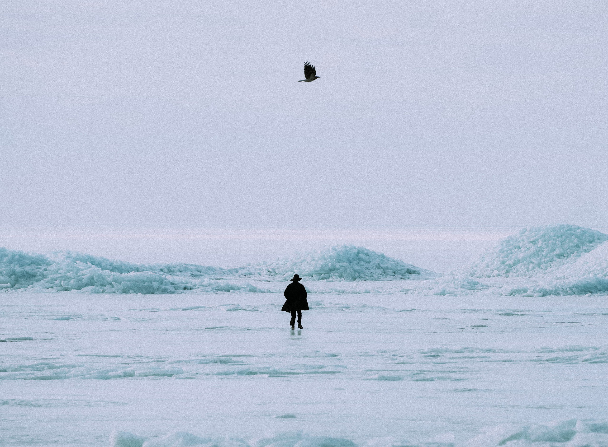 2024. Стрит-фотография, полная абсурда, идиотизма и красоты