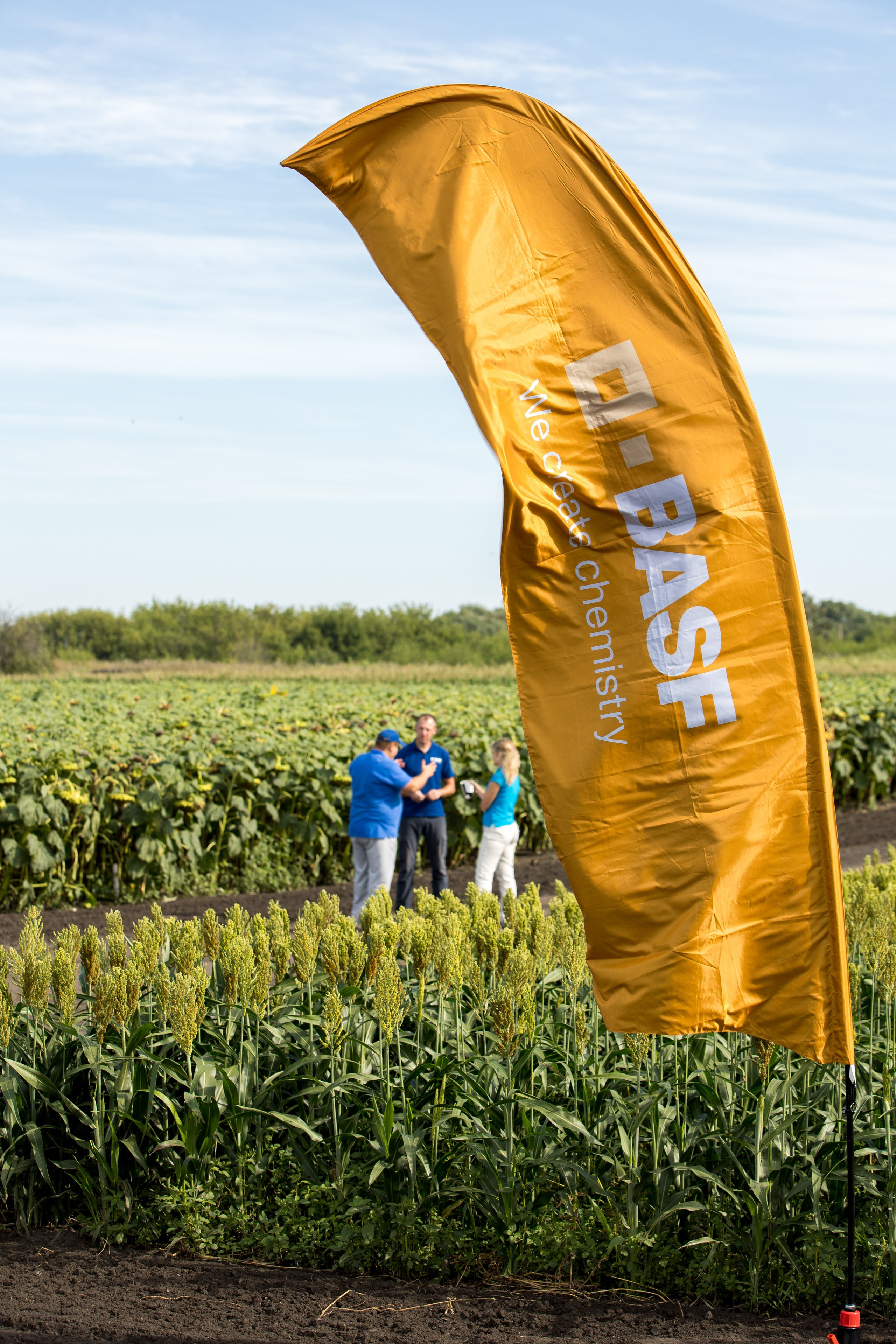 Решения для сельского хозяйства BASF 16.08.2022. Владислав Волков | Фотография и видеосъемка в Воронеже