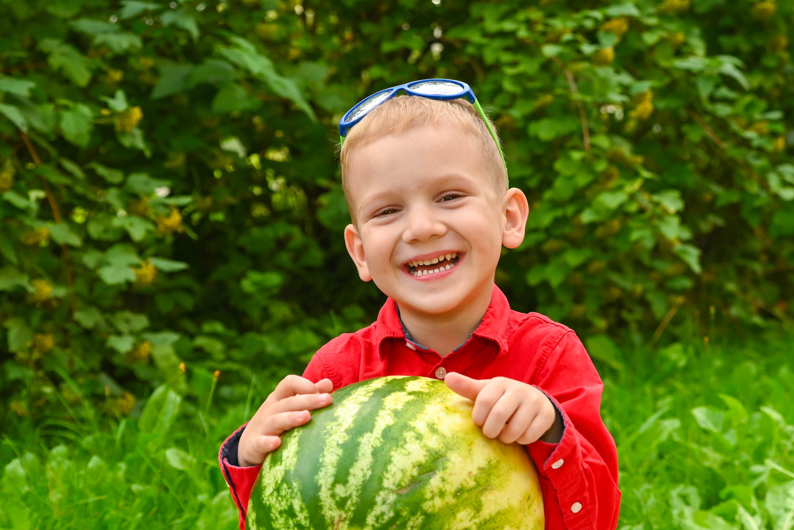 Арбузная вечеринка. Выпускные альбомы для детских садов Санкт-Петербург