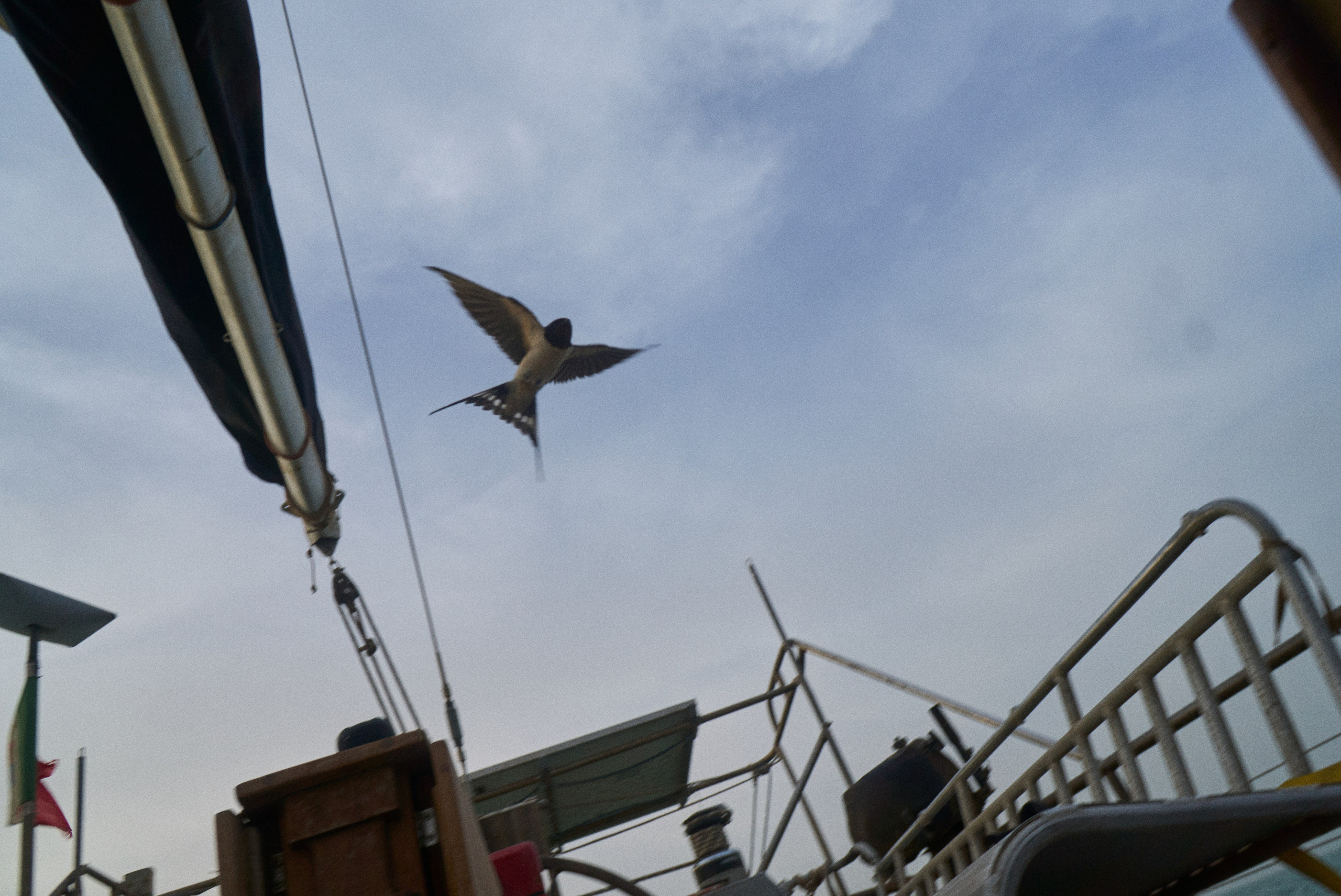 Morocco-Gambia. See the moment and catche. commercial and reportage