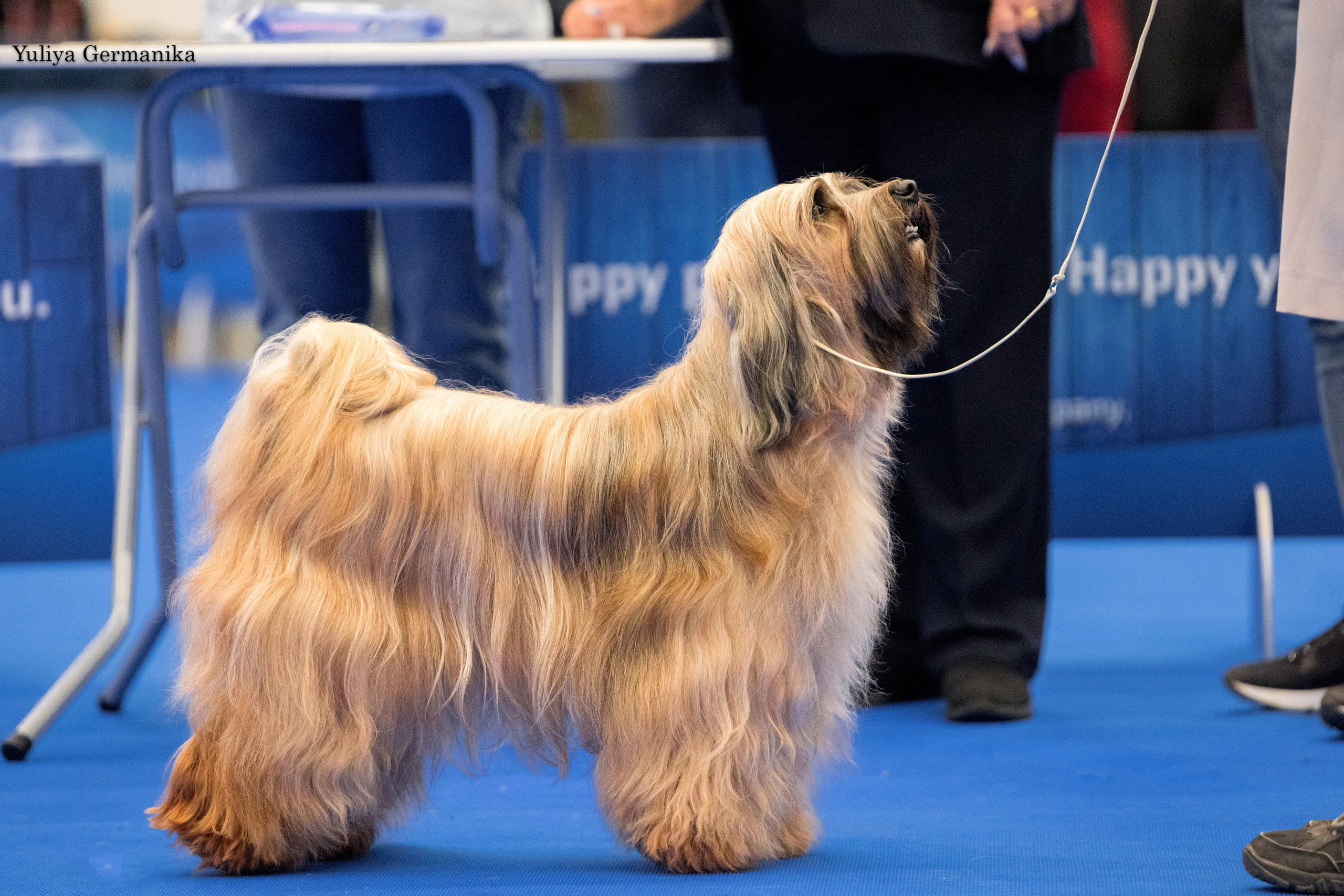 Нижний Новгород 21-22.10.2023. Фотограф-анималист Юлия Германика