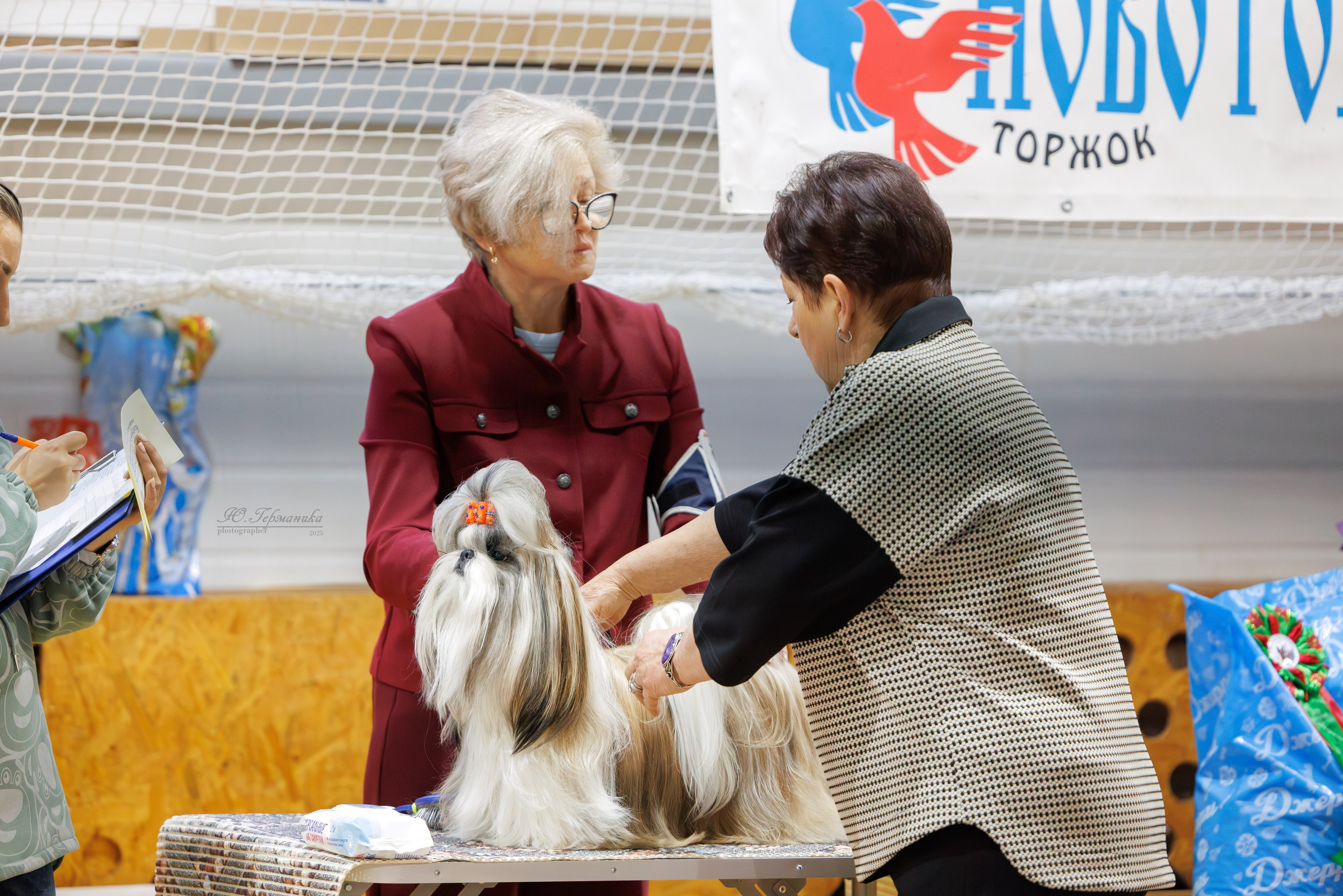 Тверь 21.12.2025. Фотограф-анималист Юлия Германика