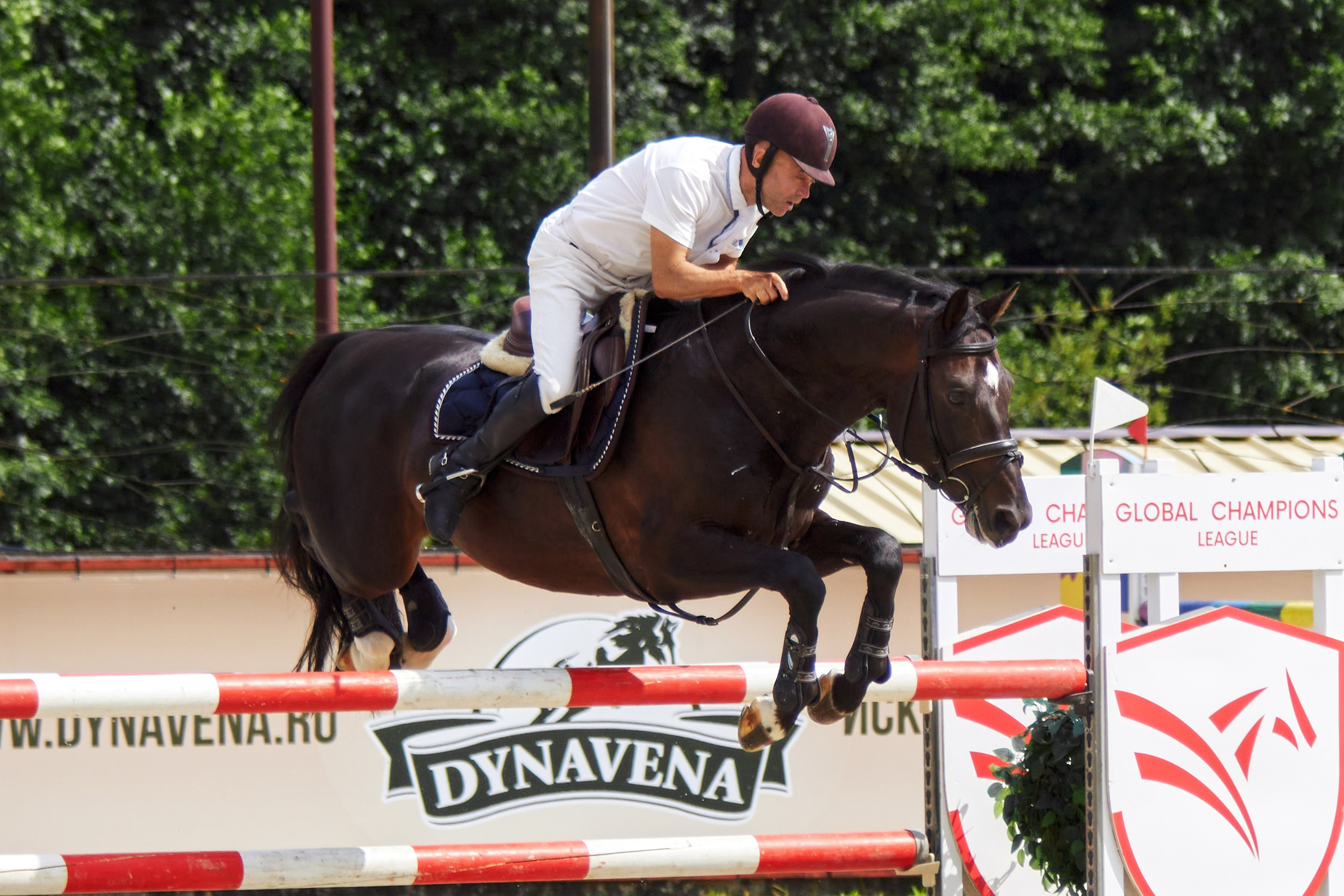 Конкур в «Виват, Россия». Фотограф анималист — Тула, Москва