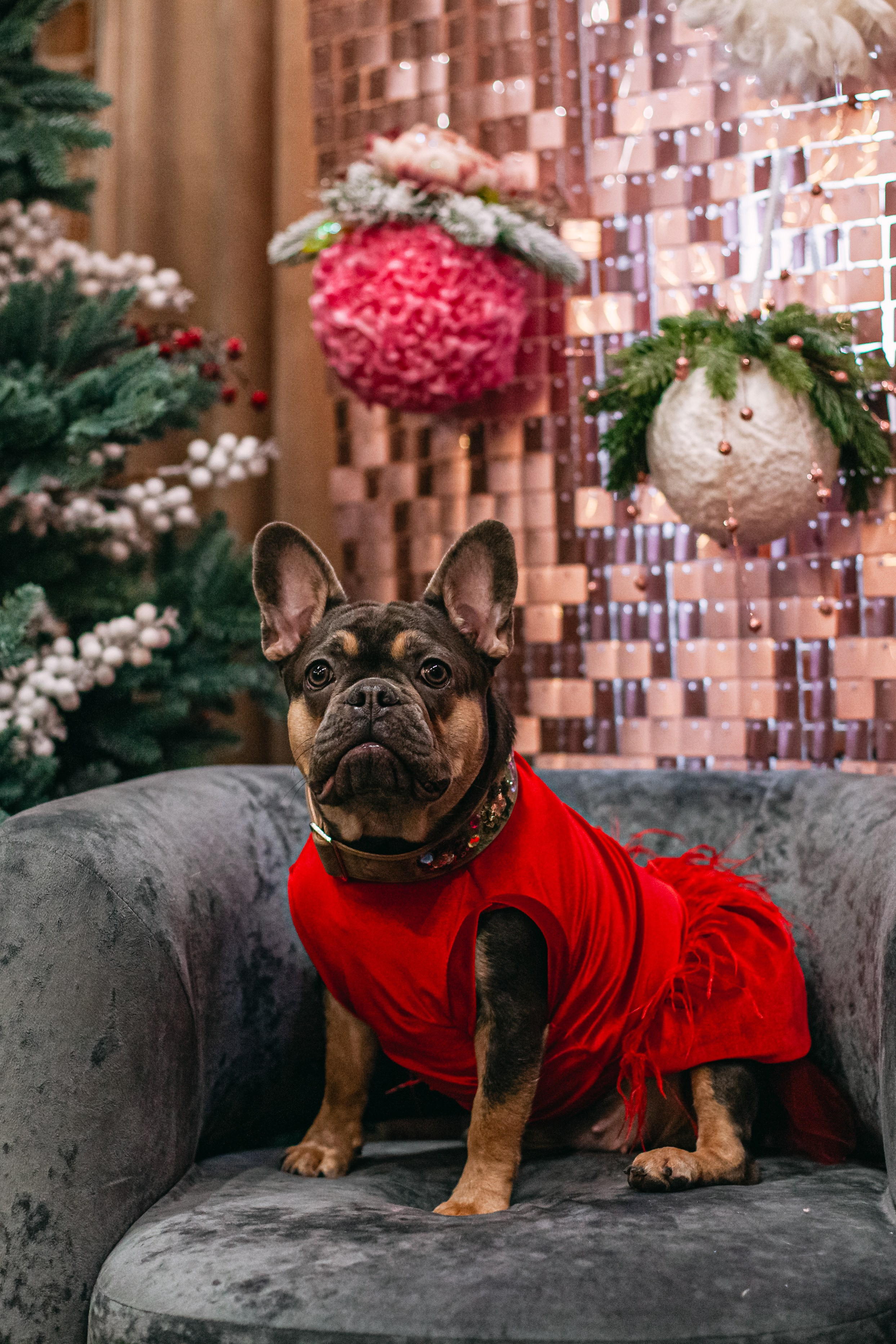 Бульёлка 2024. Фотограф-анималист Татьяна Степанова