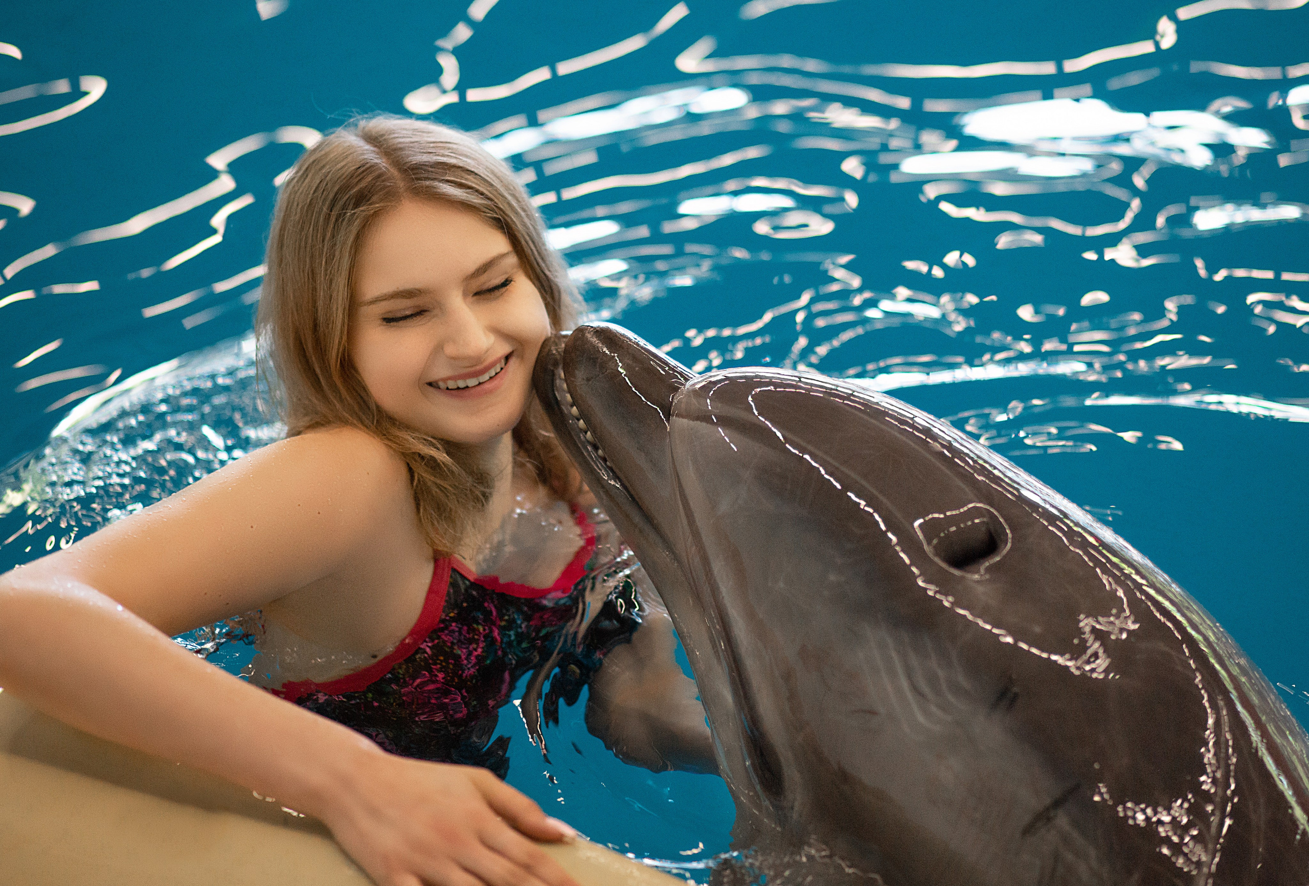 Фотосессия с дельфинами. Фотосессия с лошадьми в Нижнем Новгороде