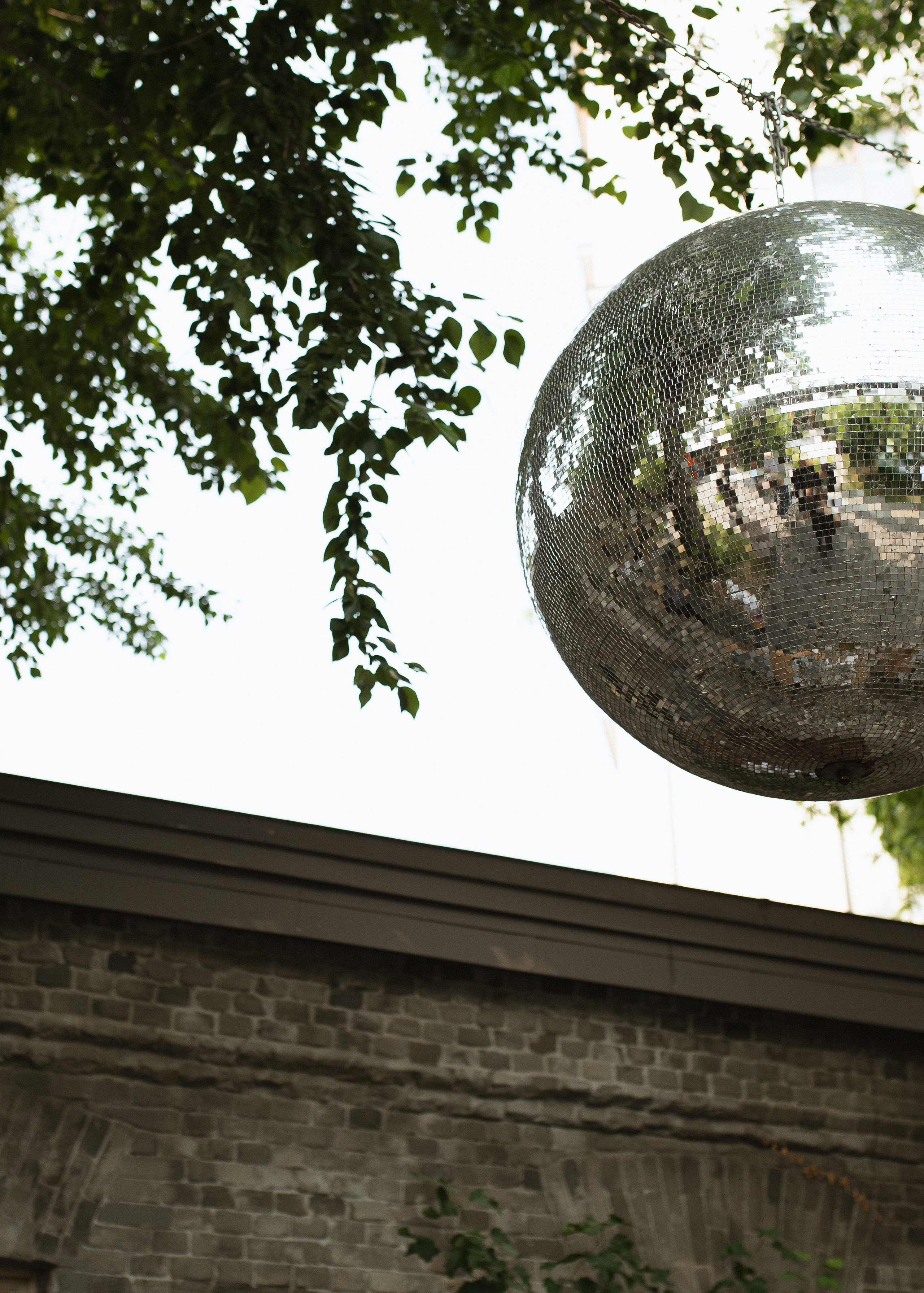 Фокус на свете. Фотограф Вышний Волочек/Тверь/Москва/Санкт-Петербург