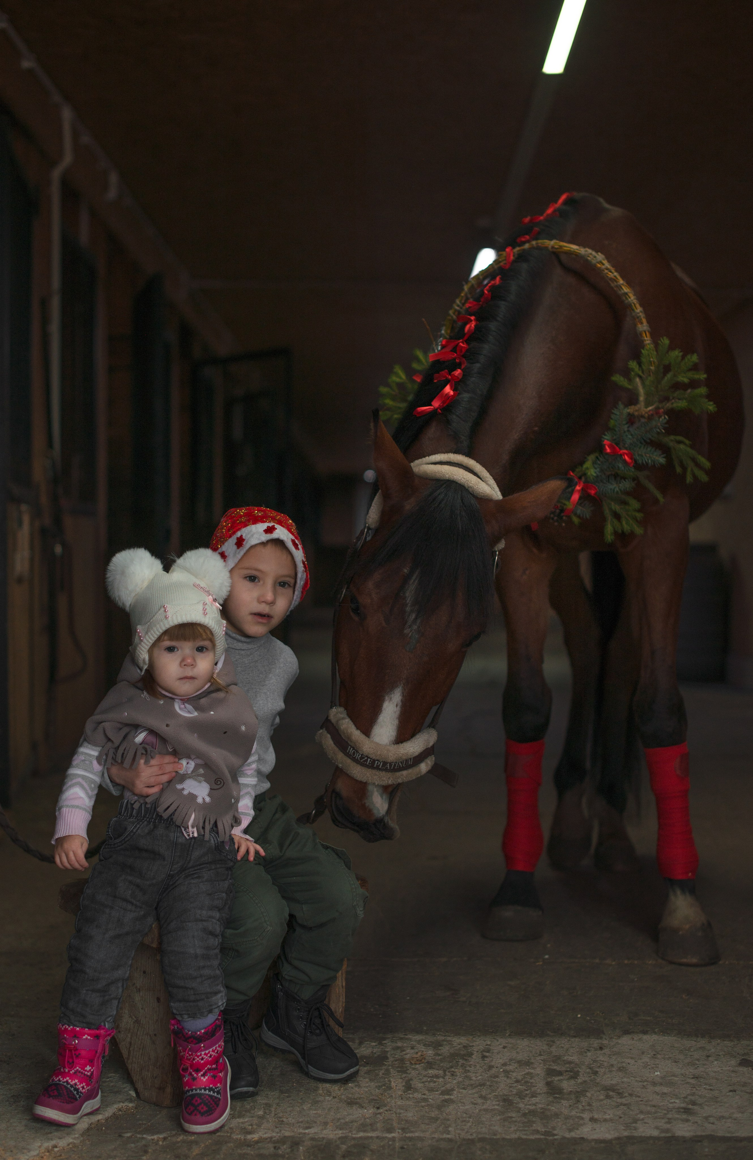 Дети и лошади. Конный фотограф в Саратове Юлия Иванова