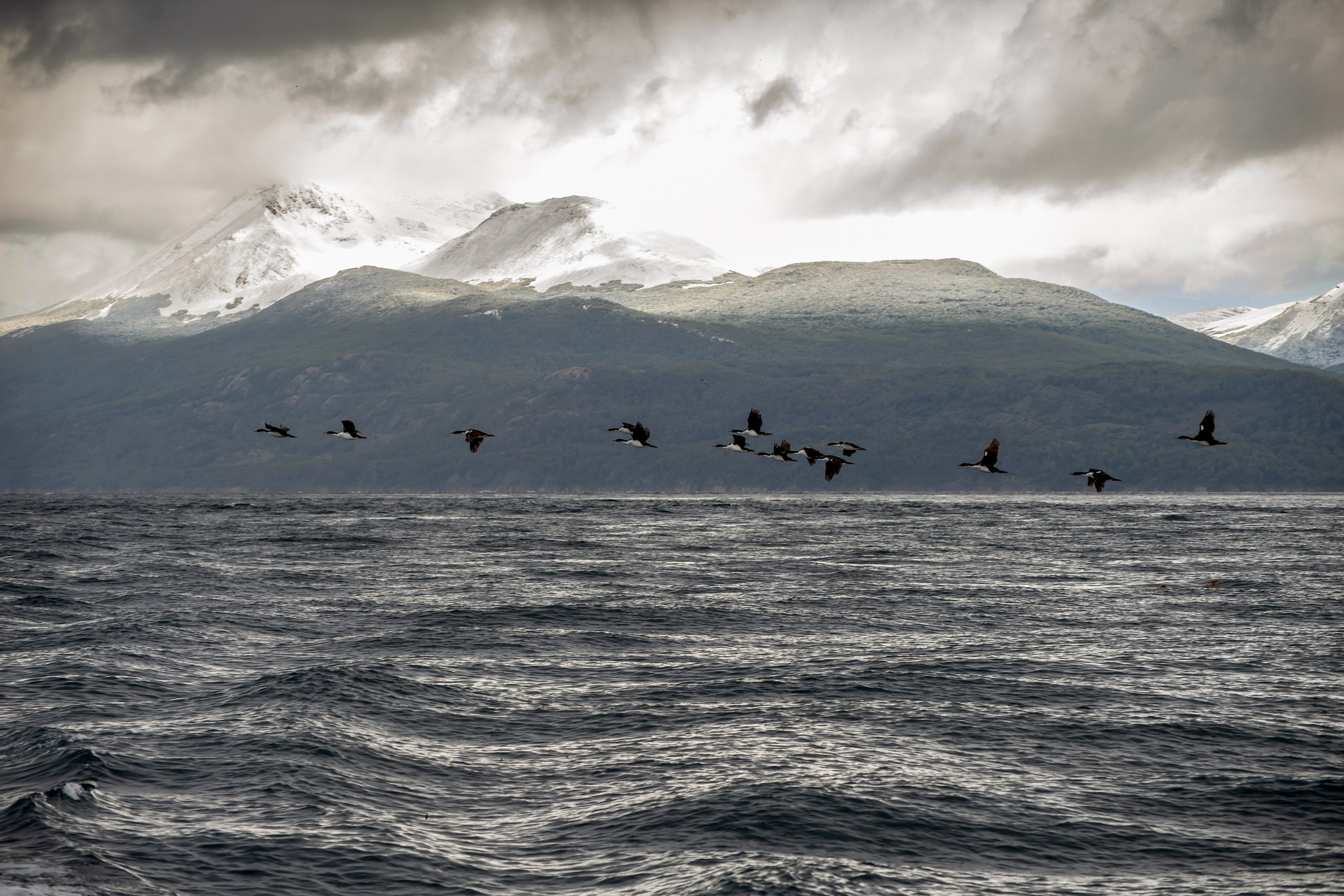 Пейзажный фотограф, Фотографии дикой природы. Foto-Zuev фотография как искусство