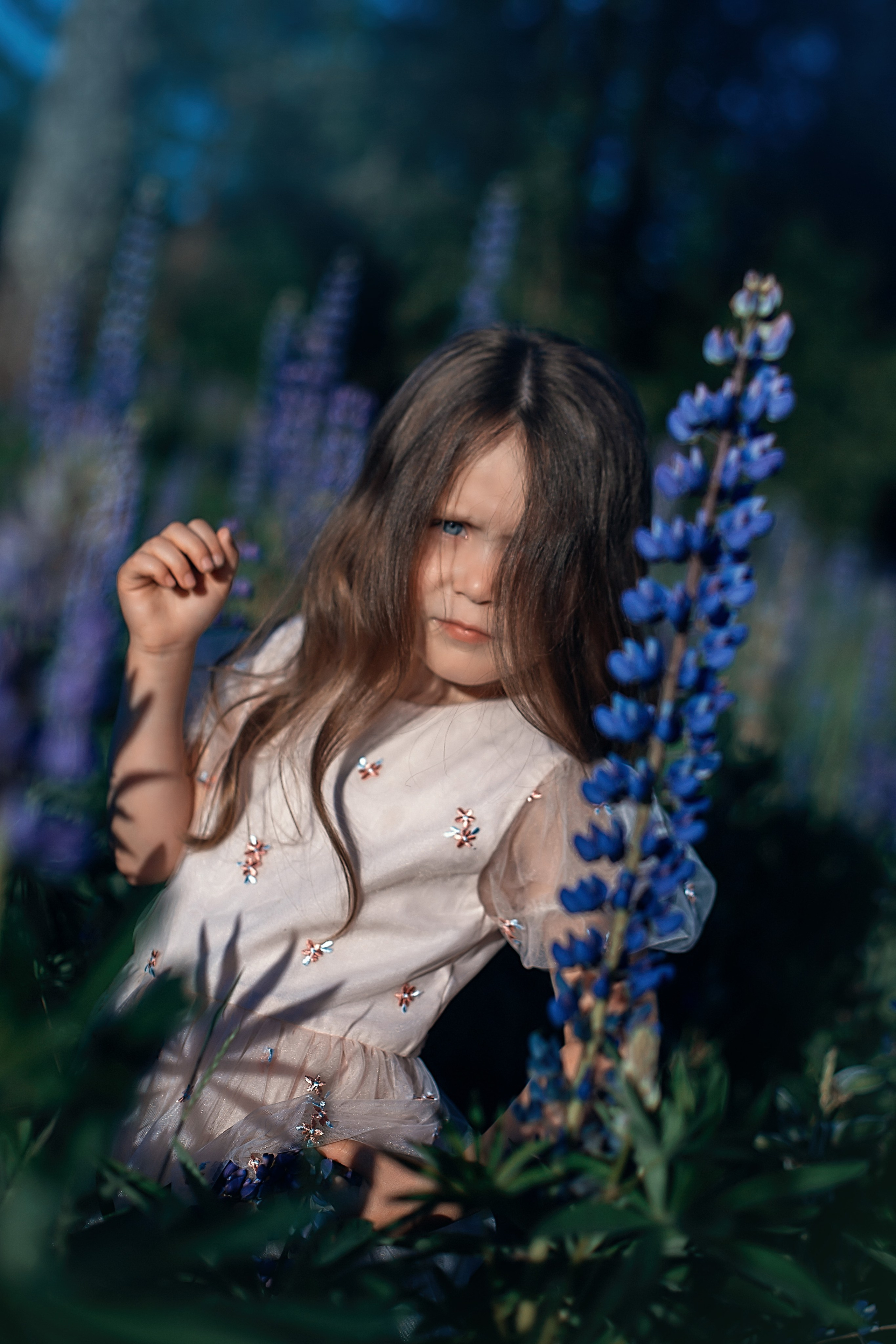 Люпины_Псковская область. Семейный фотограф в Санкт-Петербурге