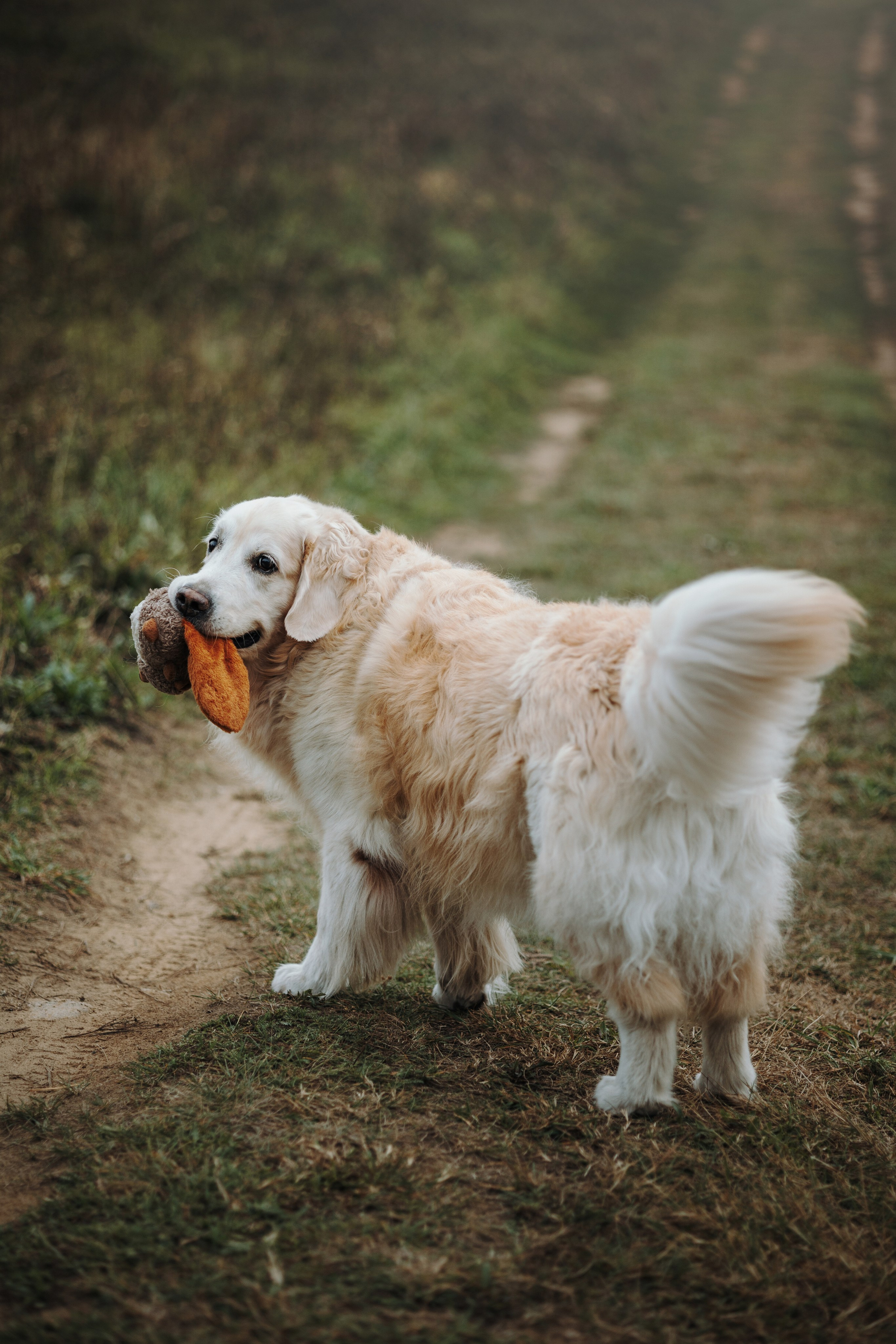 Света и Том. Фотограф — Анималист | Санкт-Петербург