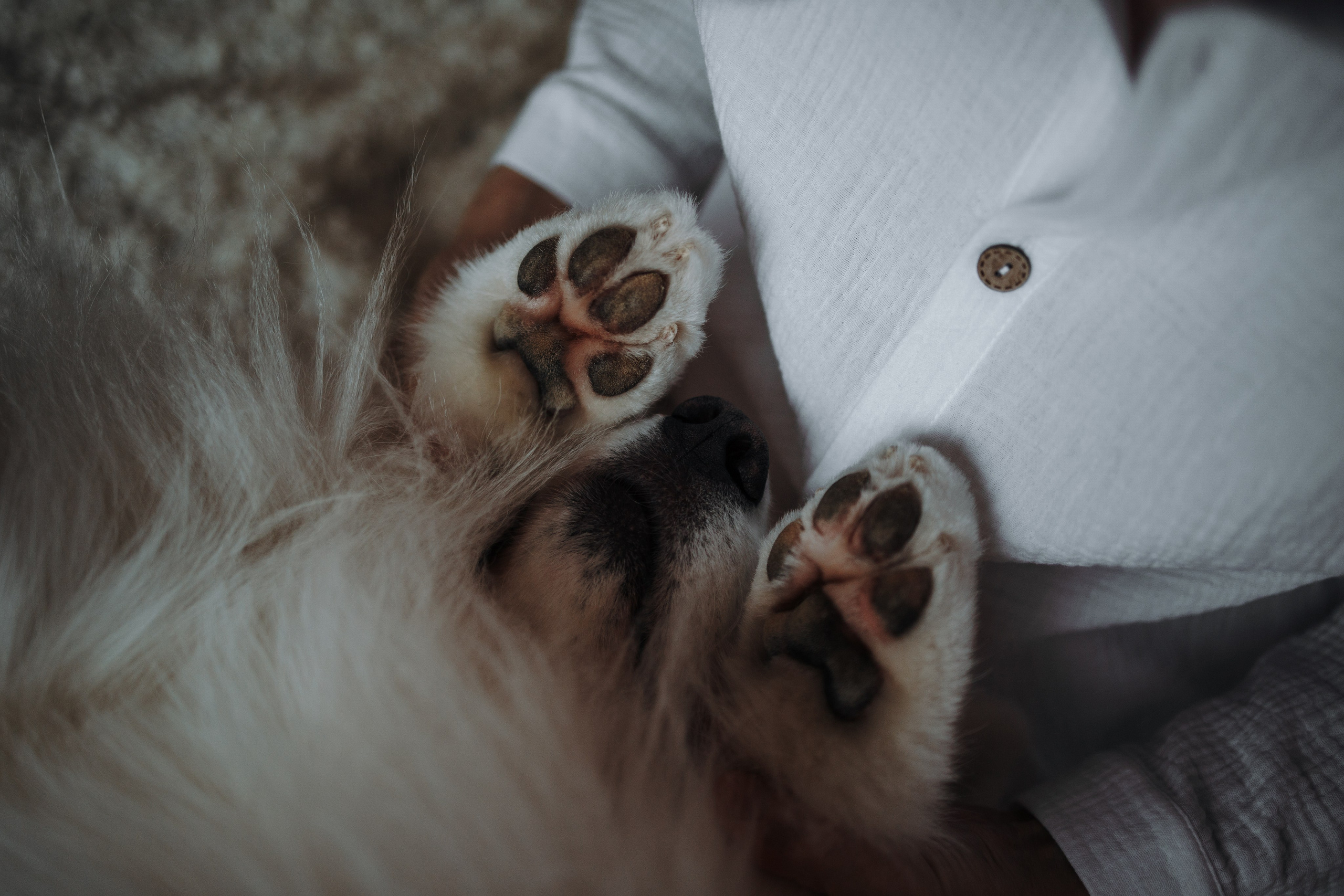 Маркус и его семья. Фотограф — Анималист | Санкт-Петербург