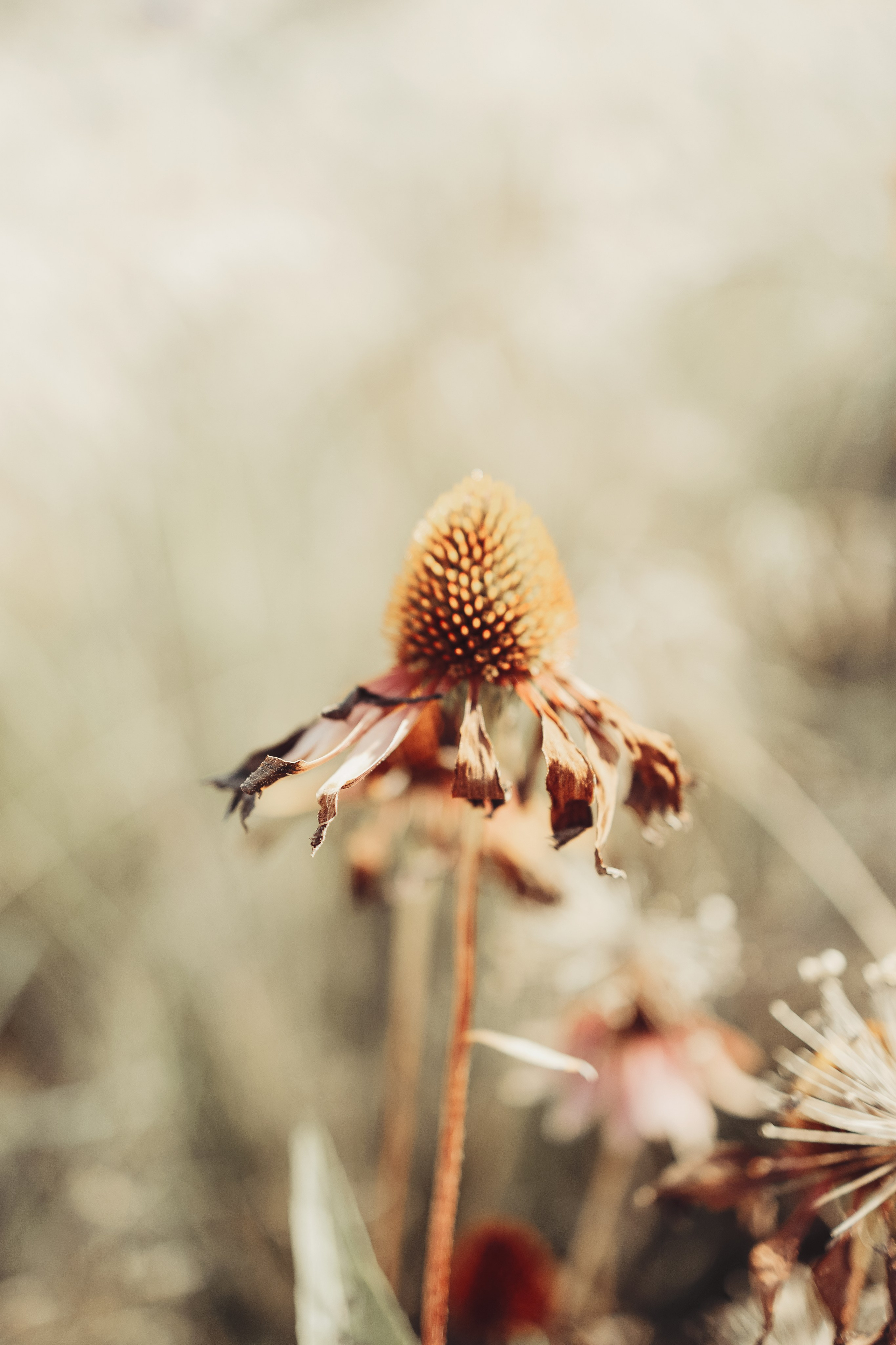 Street photo. Photographer in Turkey — Dari N