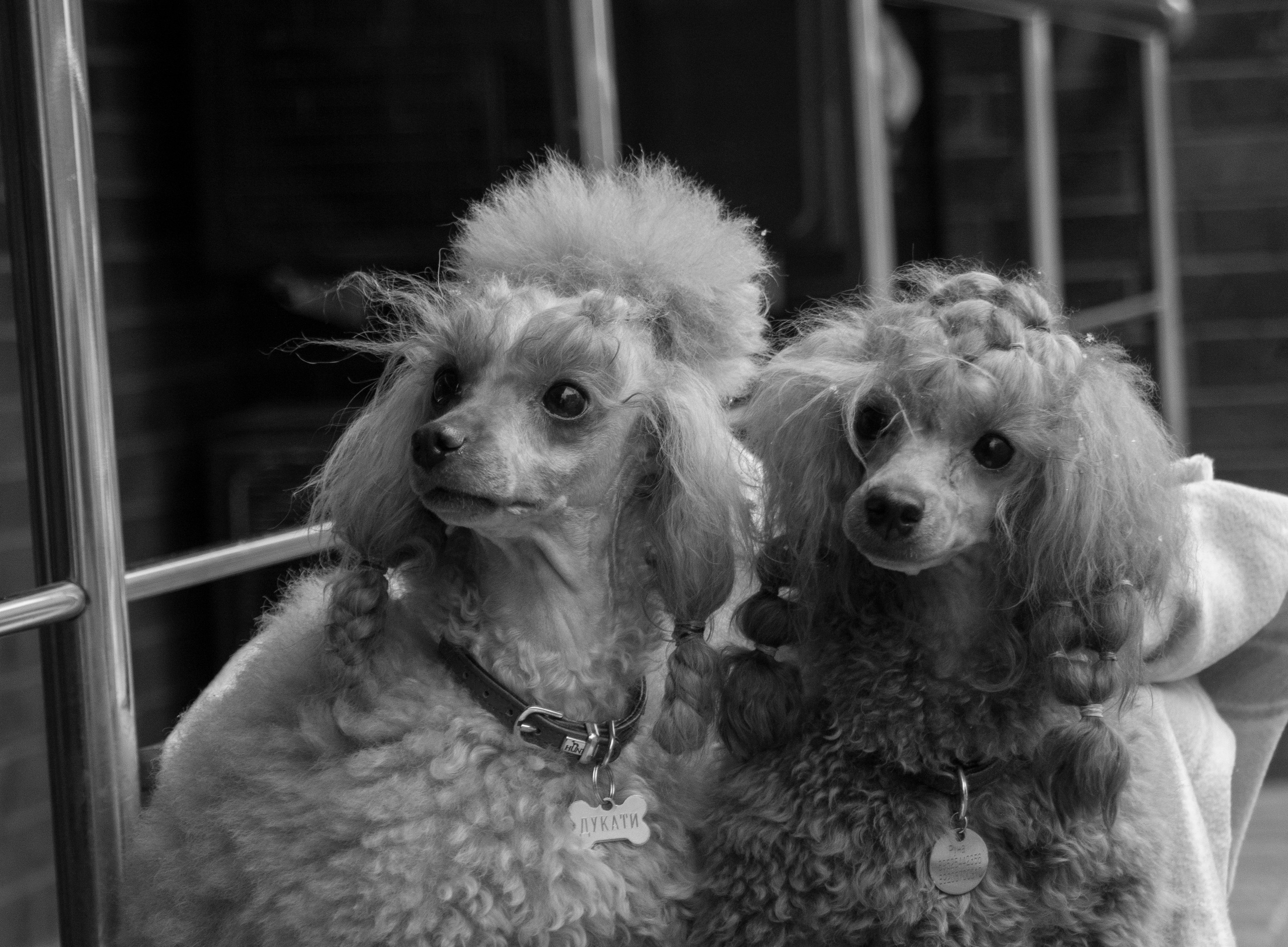 Основное портфолио