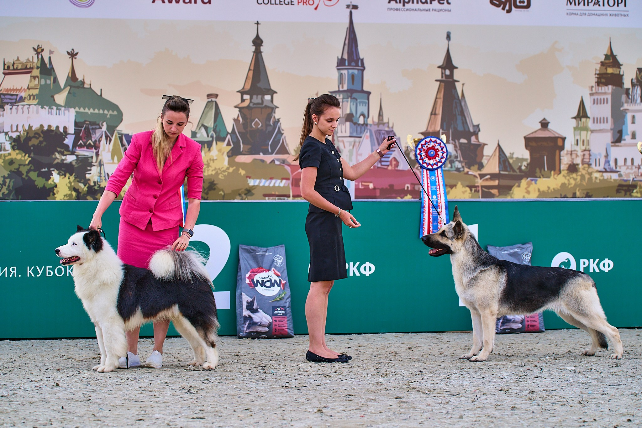 08.06.2024 «РОССИЯ. КУБОК РКФ 2024»