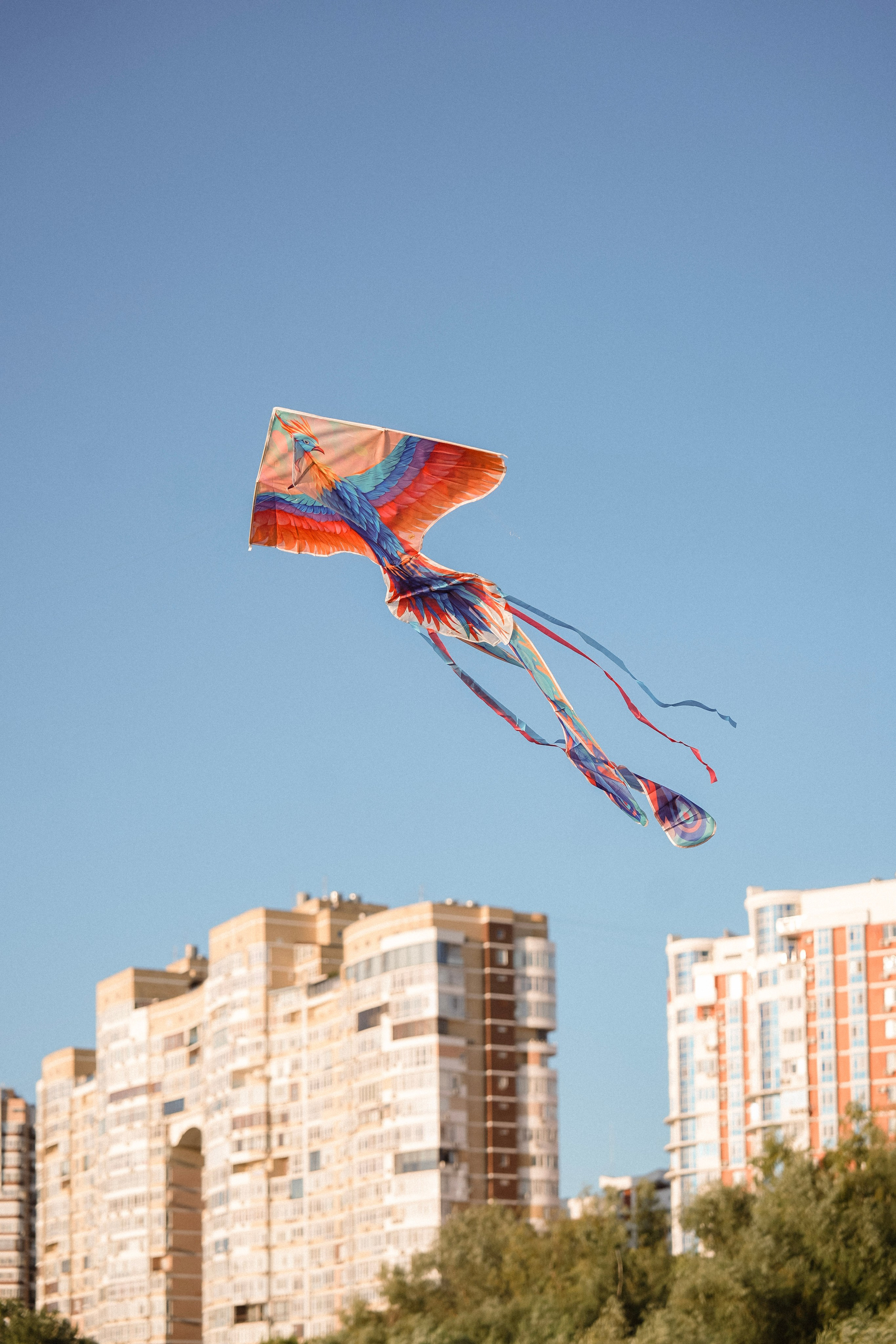 Семейная съёмка на закате. Фотограф с психологическим образованием