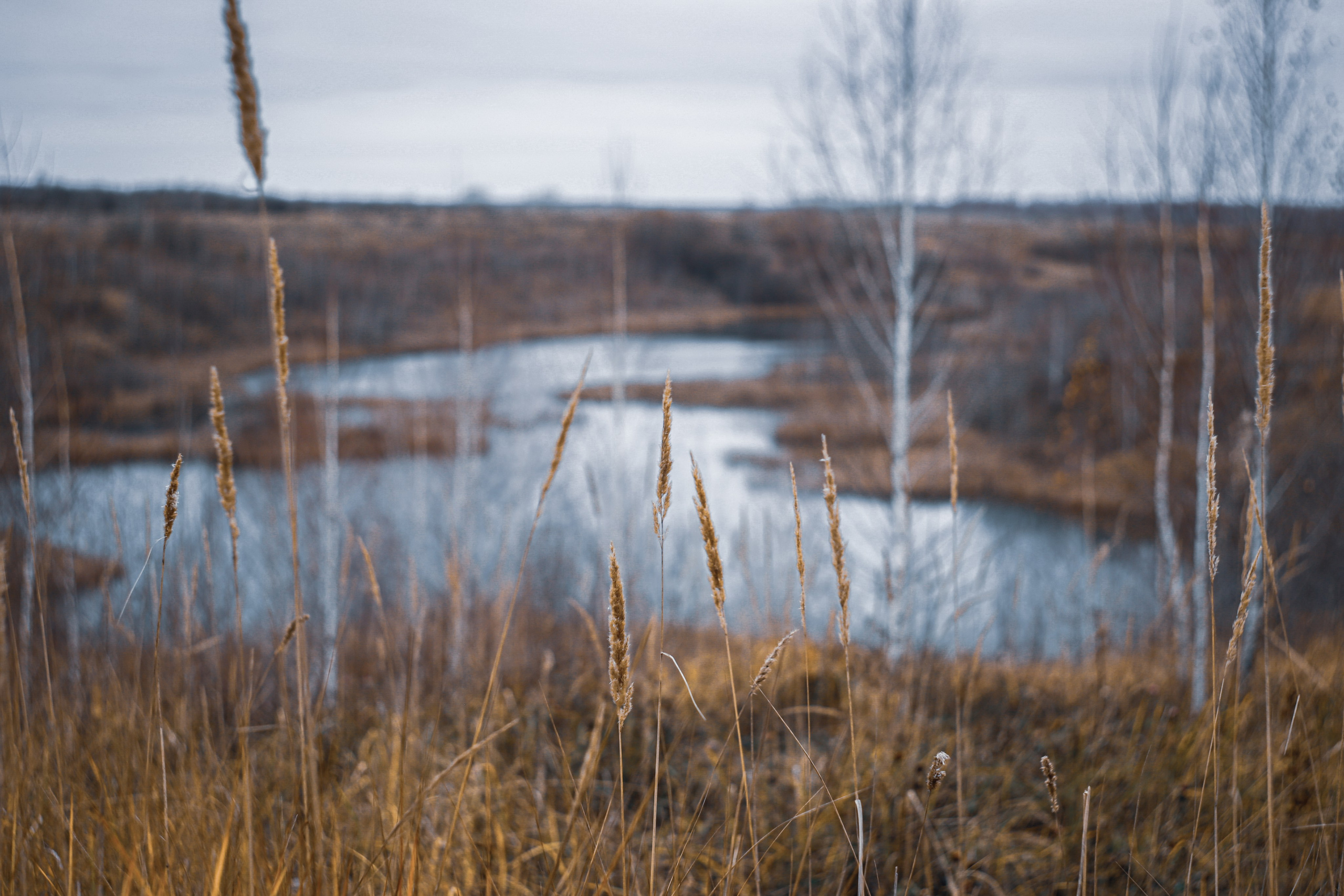 Ноябрь 2022. Efremovaphoto.ru