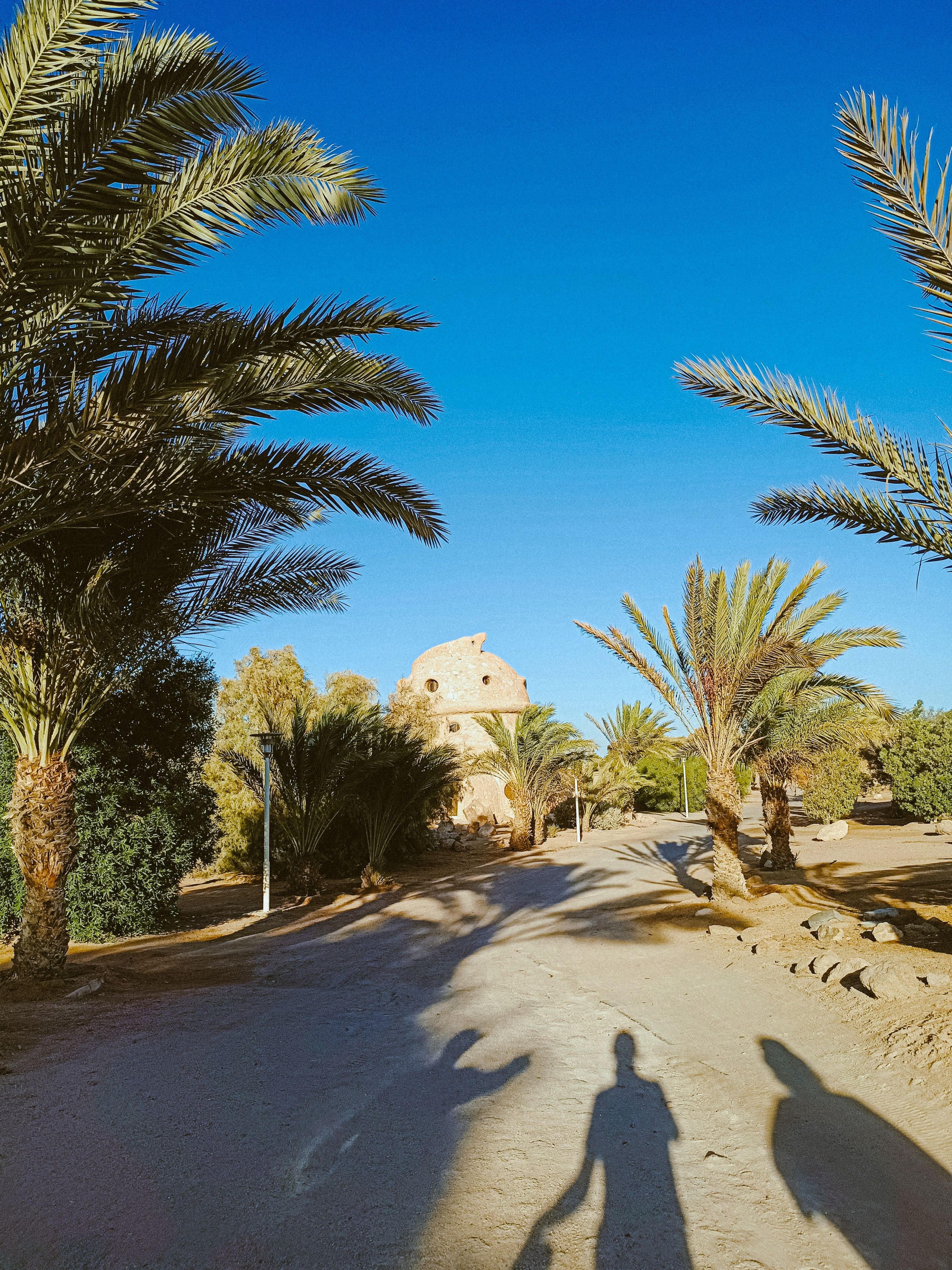 Мобильная. Jorgis — фотограф в Хургаде / обучение фотографии