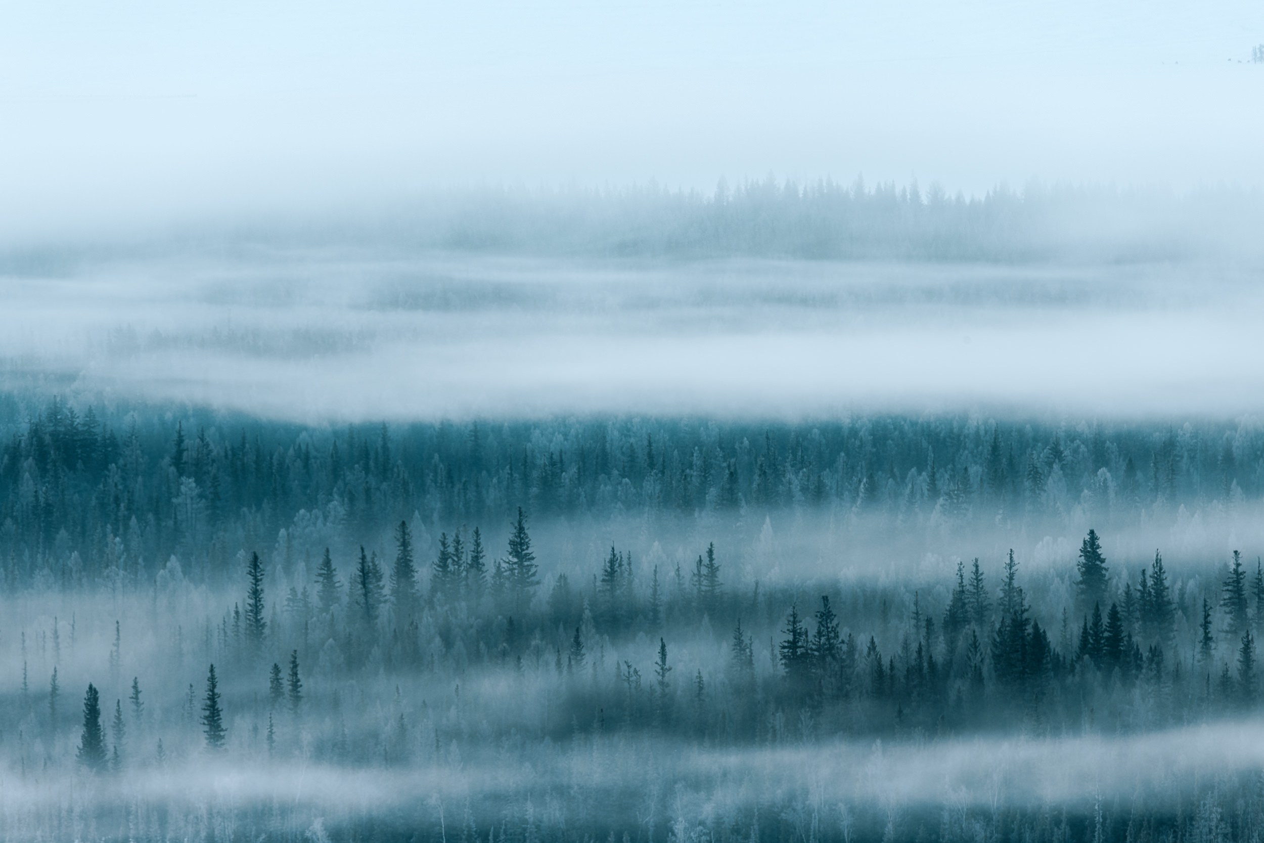 Пейзаж • Landscape. Елена Ивановой • Профессиональный фотограф