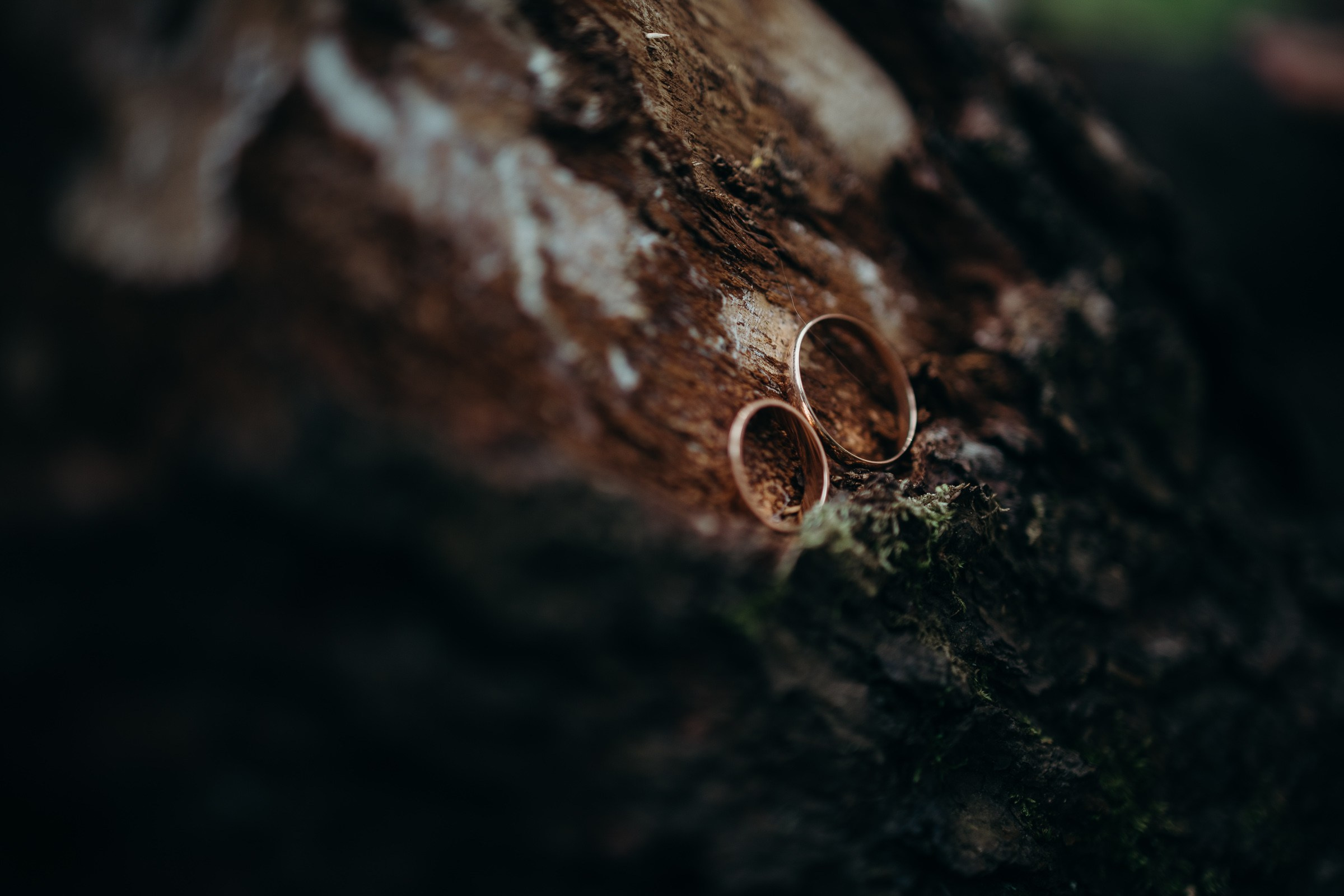 Линда и Сергей