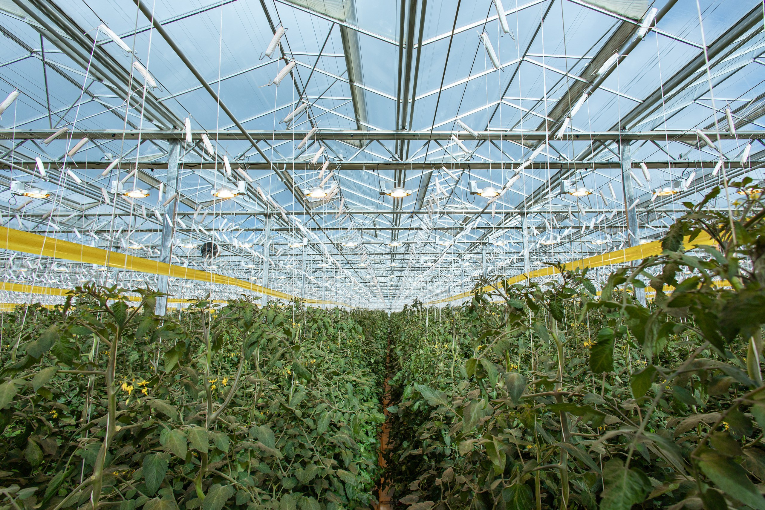 Производство. Фотограф Николай Петрушкин | Ставрополь, Москва