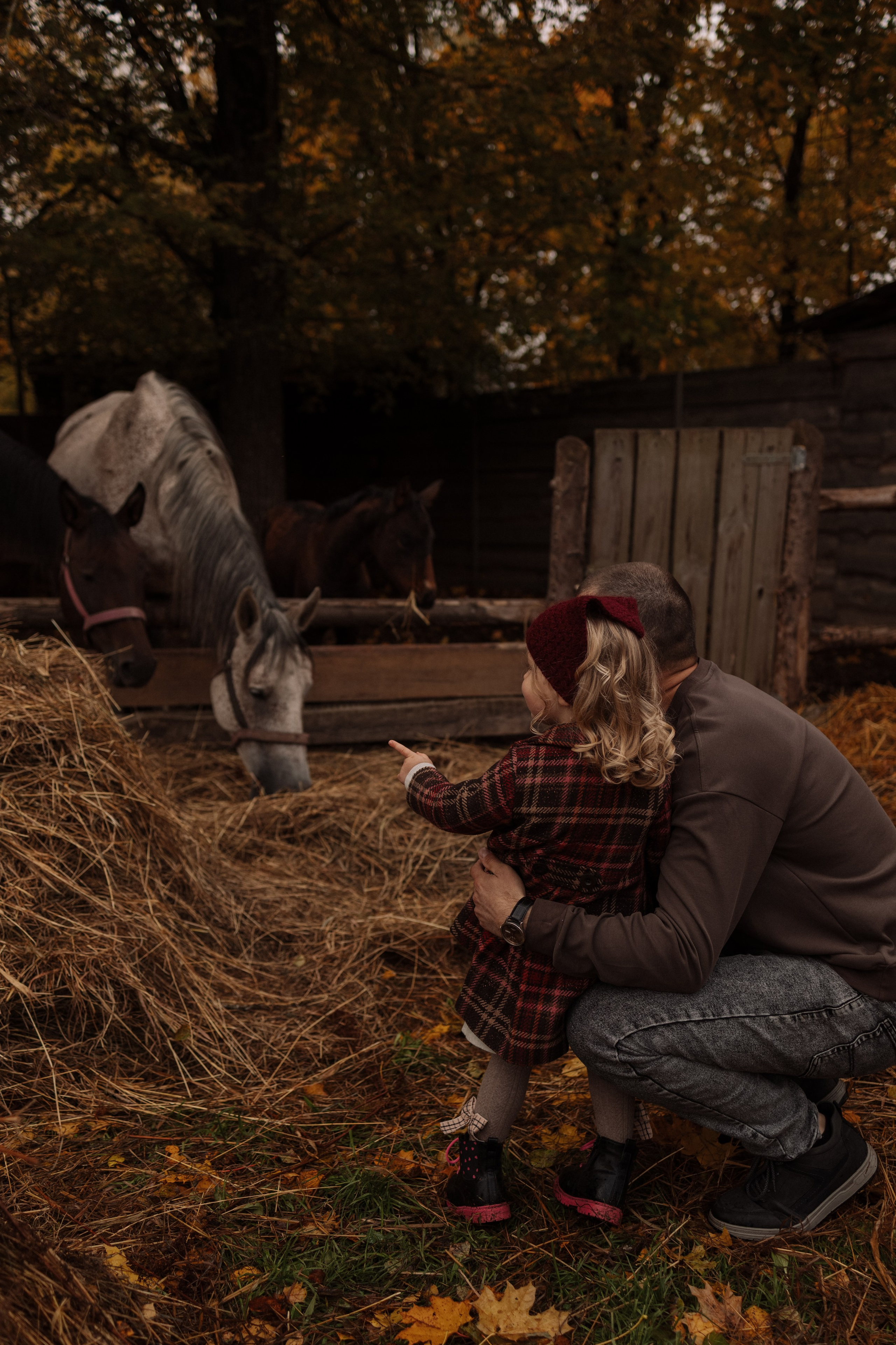 Семейная. Photographer Oseiko Nadezhda