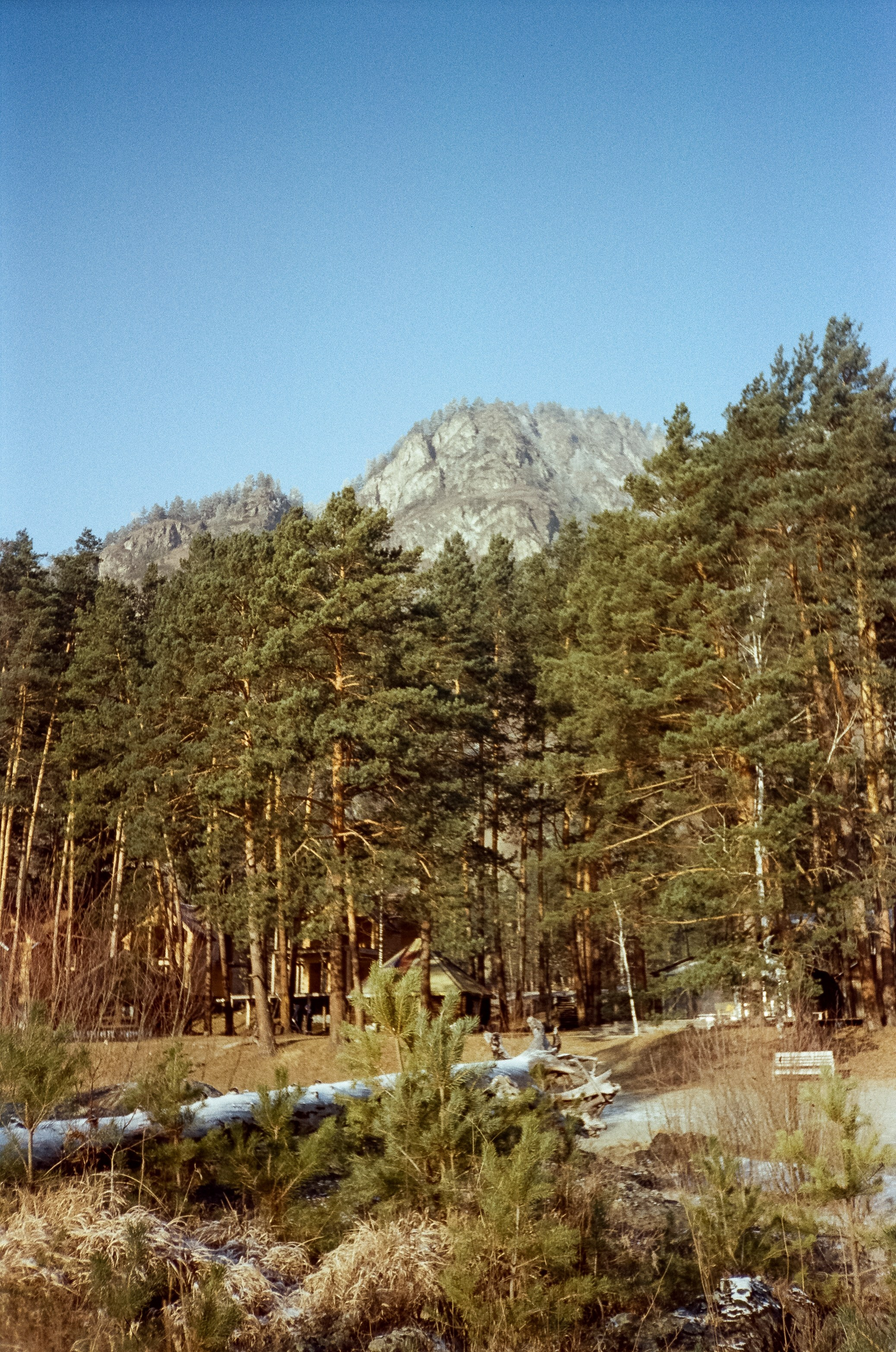 База Берель: лес, скалы, пляж, снег и лед, солнце и пар на Катуни. Фотограф-документалист Мария Осокина