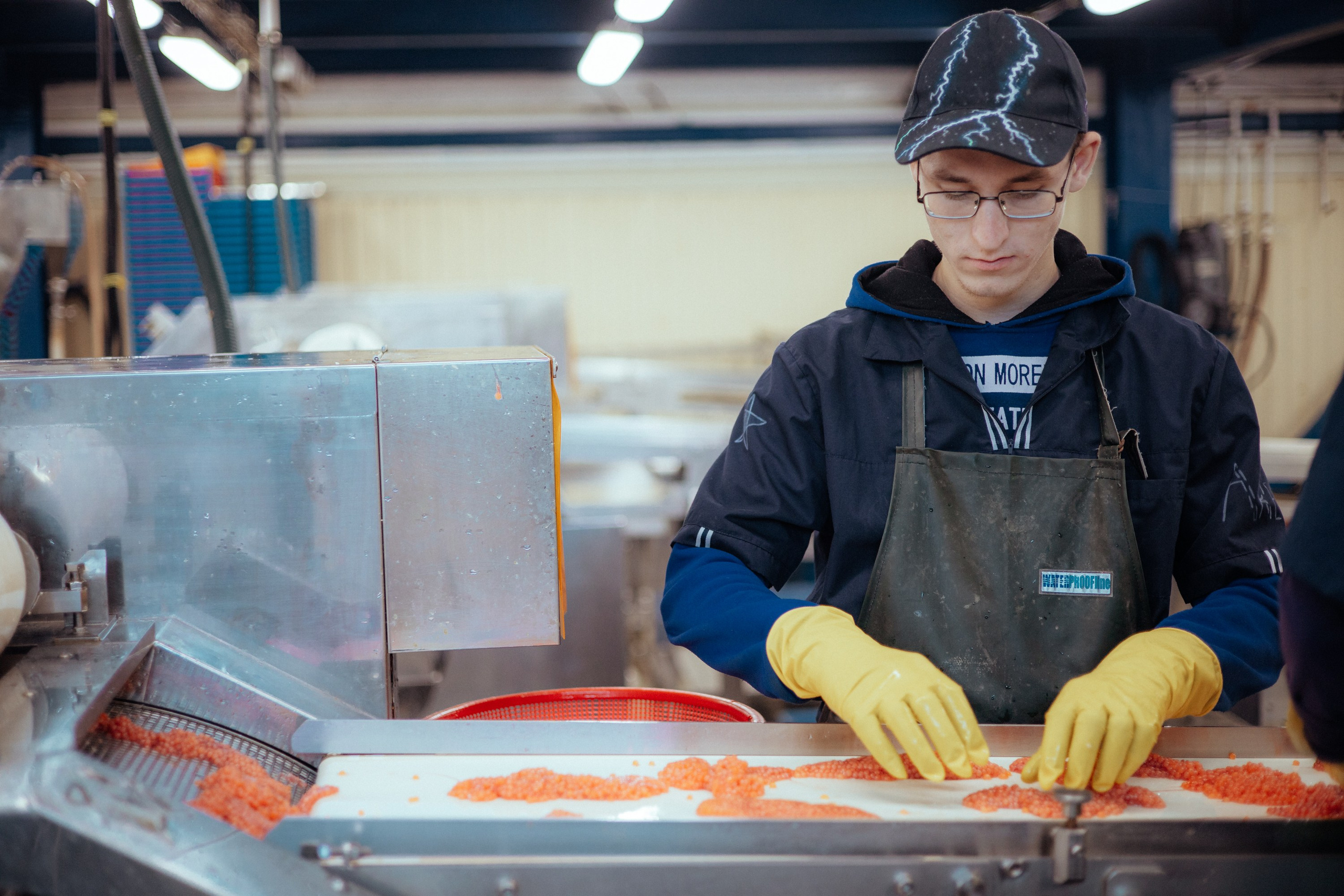 Ооо «лойд-фиш» | камчатка-2025