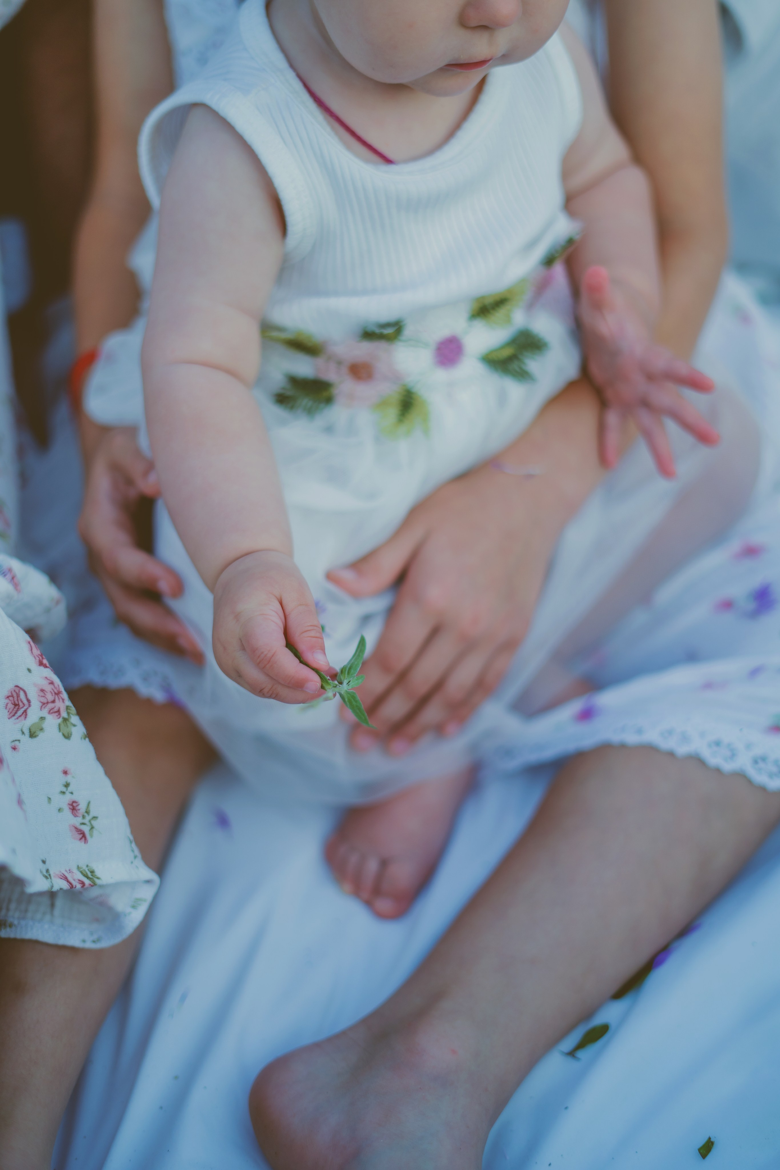 Пикник на природе. Семейный и детский фотограф Зеленоград Кудашова Наиля