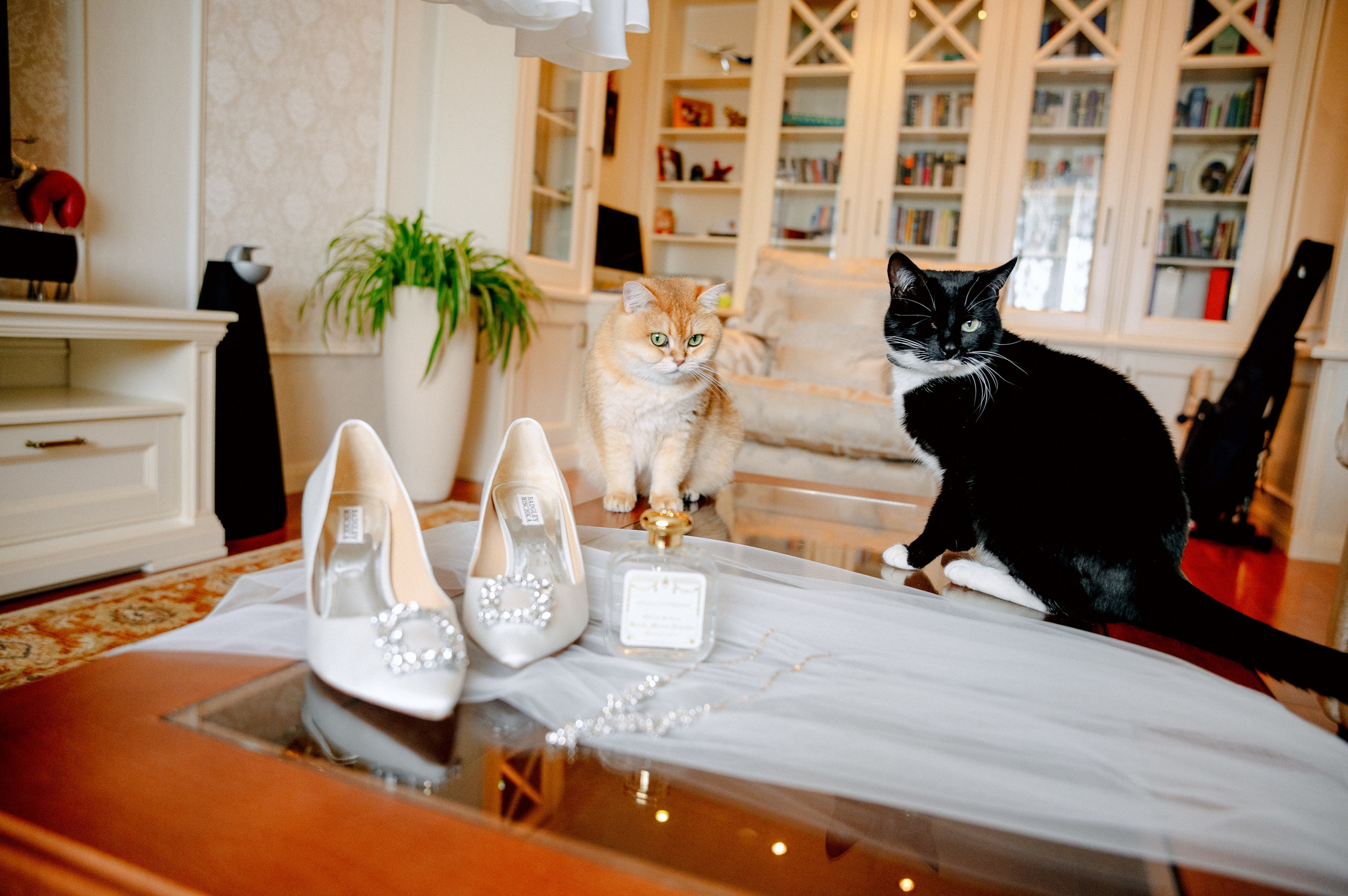 ЯНА и ЖЕНЯ. Шашкова Вероника / Свадебный и семейный фотограф Москва и Ярославль